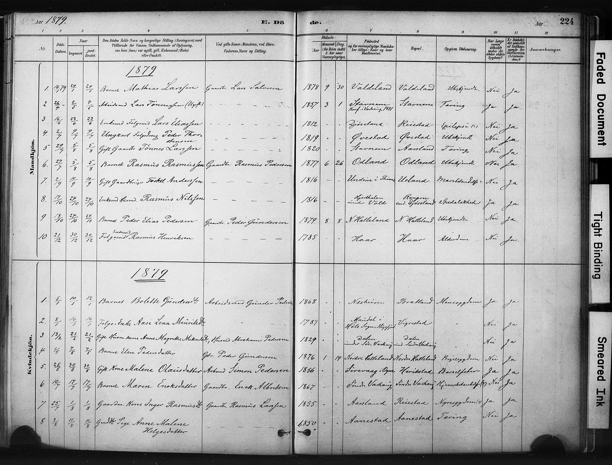 Hå sokneprestkontor, AV/SAST-A-101801/001/30BA/L0011: Parish register (official) no. A 10, 1879-1900, p. 224