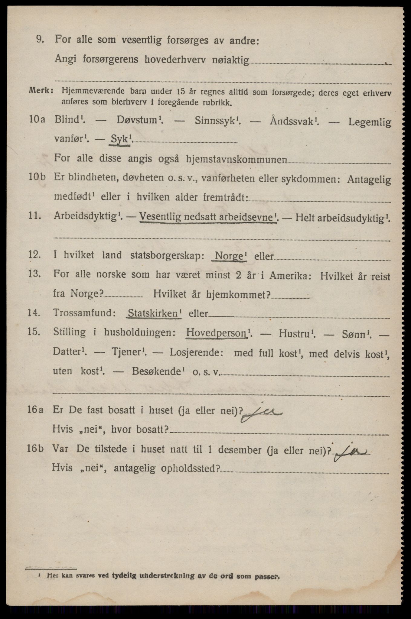 SAKO, 1920 census for Vinje, 1920, p. 1036