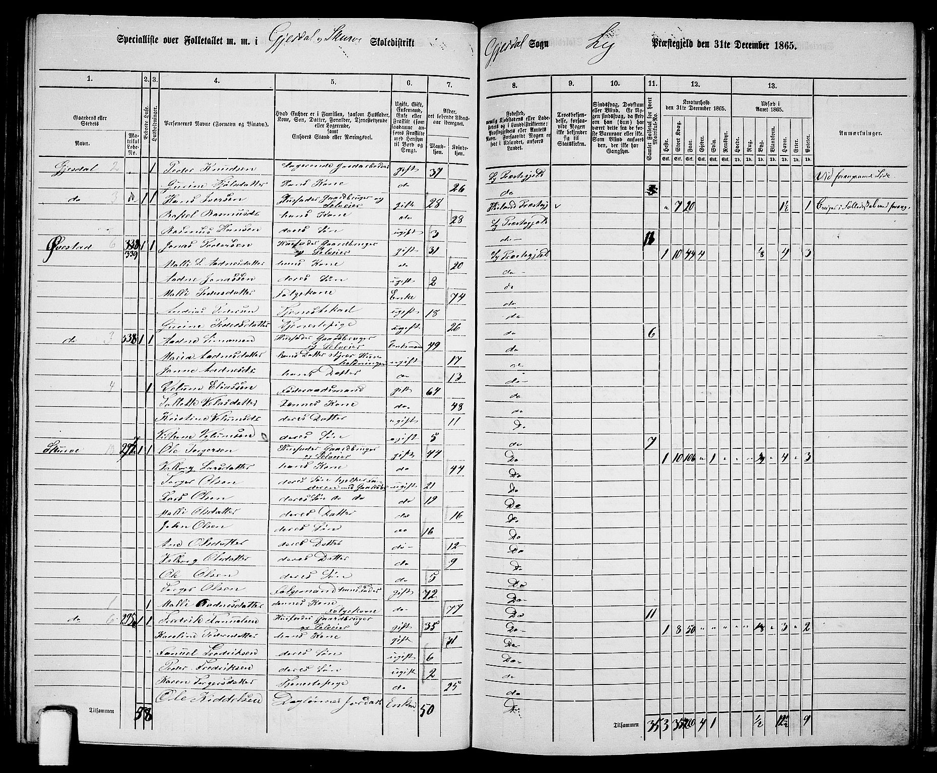 RA, 1865 census for Lye, 1865, p. 128