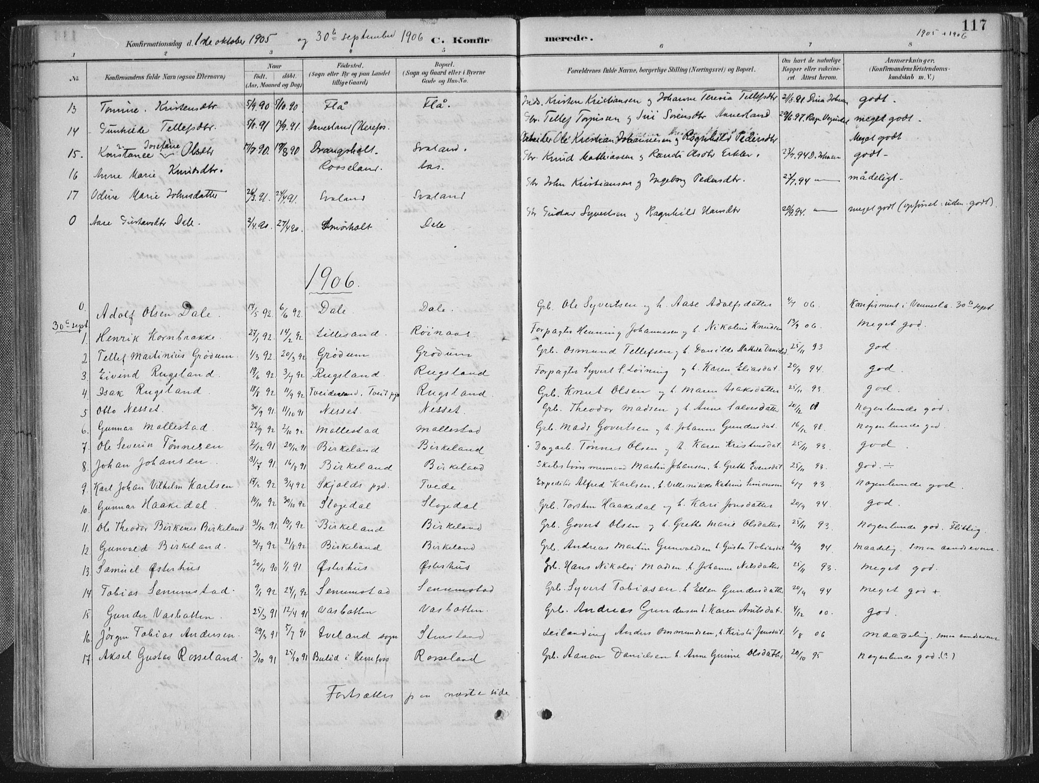 Birkenes sokneprestkontor, AV/SAK-1111-0004/F/Fa/L0005: Parish register (official) no. A 5, 1887-1907, p. 117