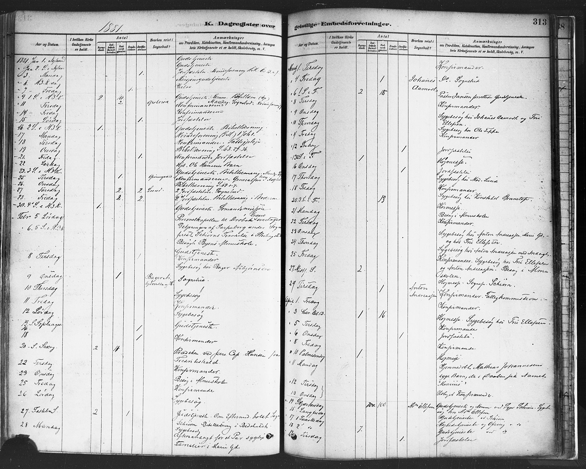 Sarpsborg prestekontor Kirkebøker, SAO/A-2006/F/Fa/L0003: Parish register (official) no. 3, 1878-1891, p. 313