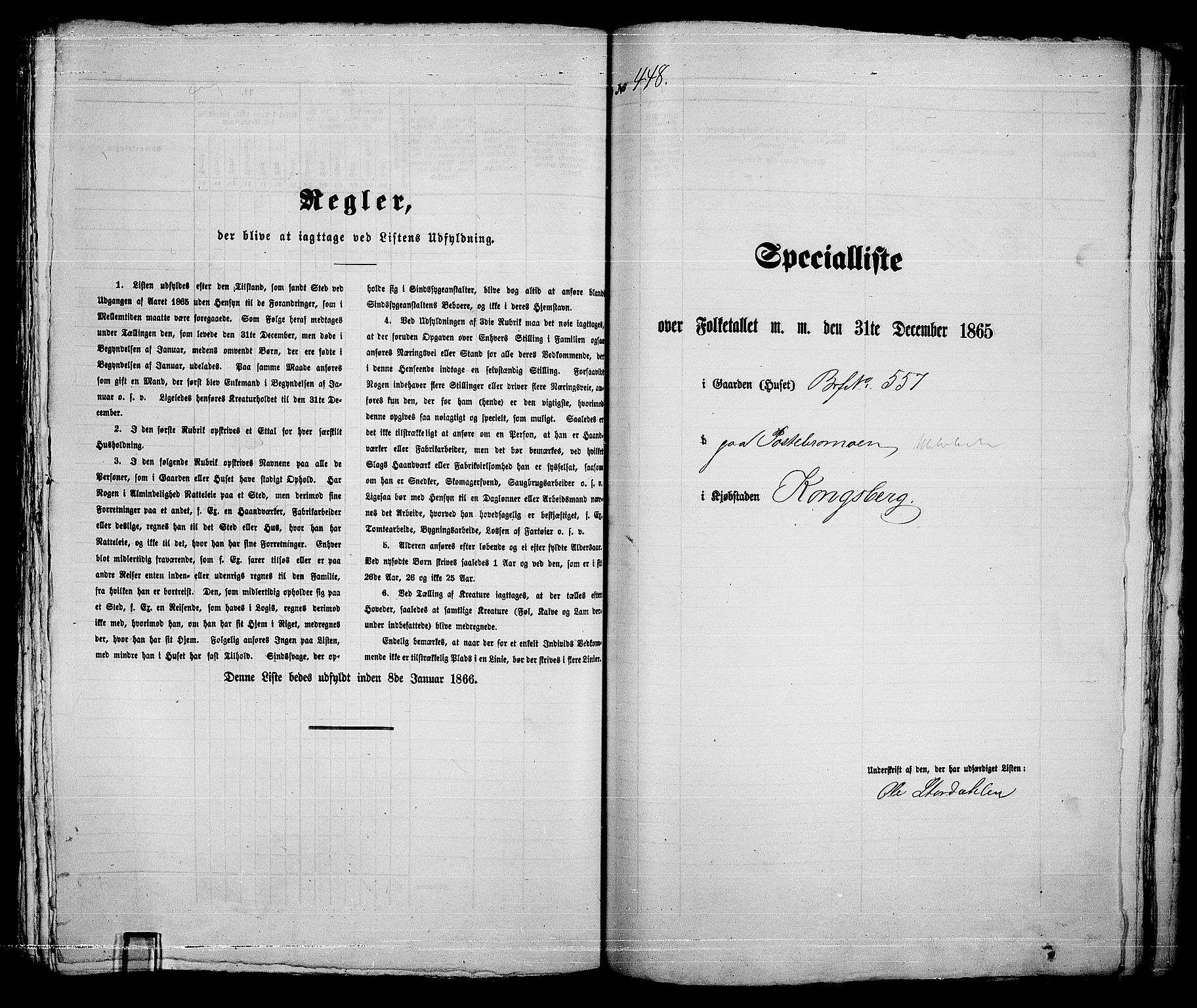 RA, 1865 census for Kongsberg/Kongsberg, 1865, p. 907