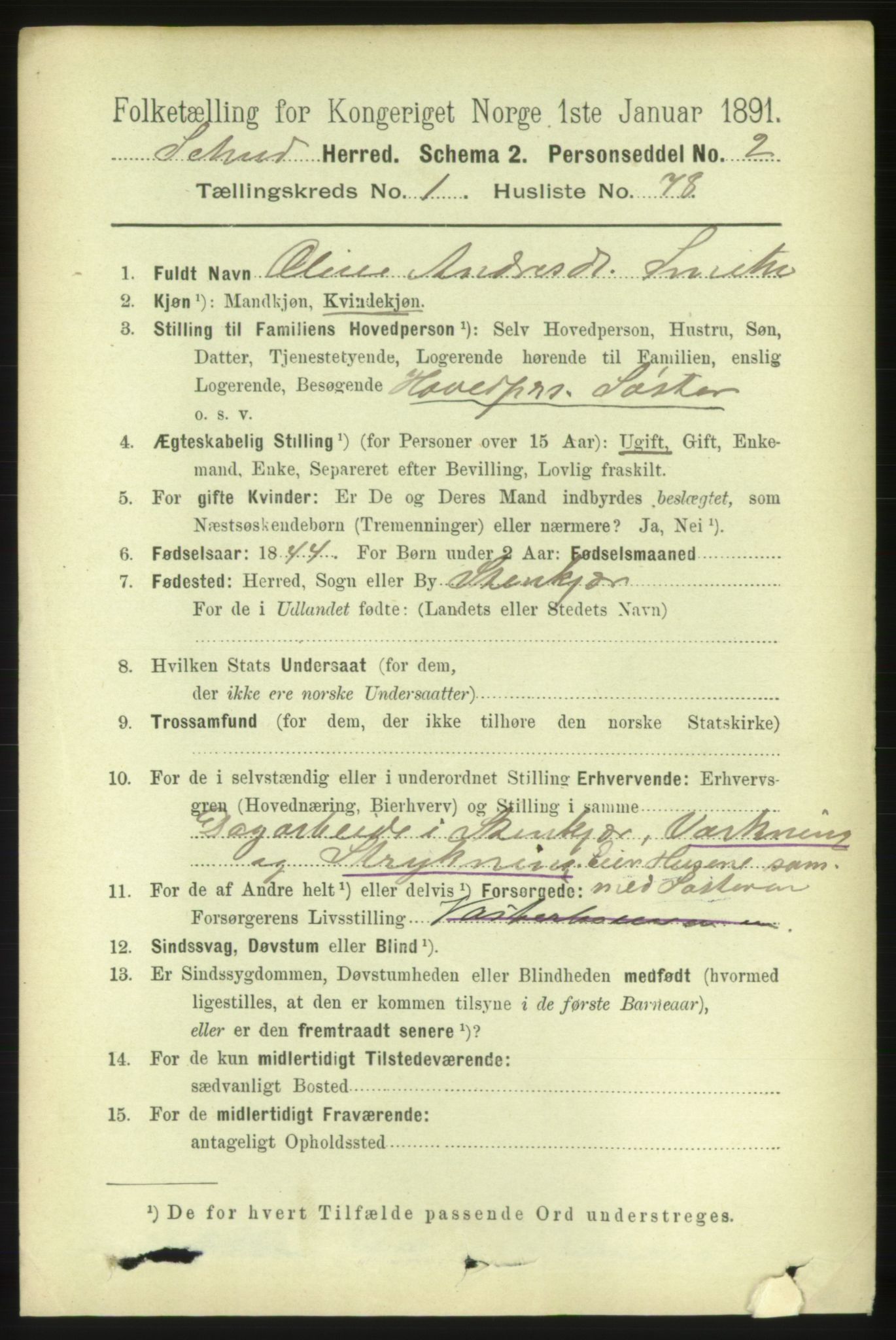 RA, 1891 census for 1732 Skei, 1891, p. 545