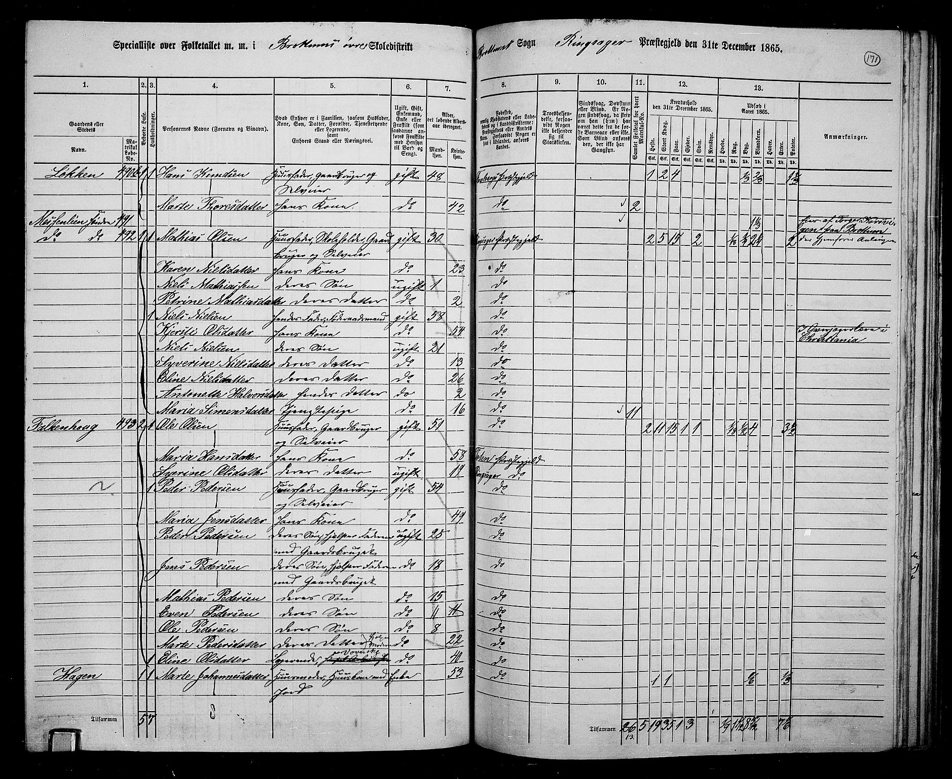 RA, 1865 census for Ringsaker, 1865, p. 415