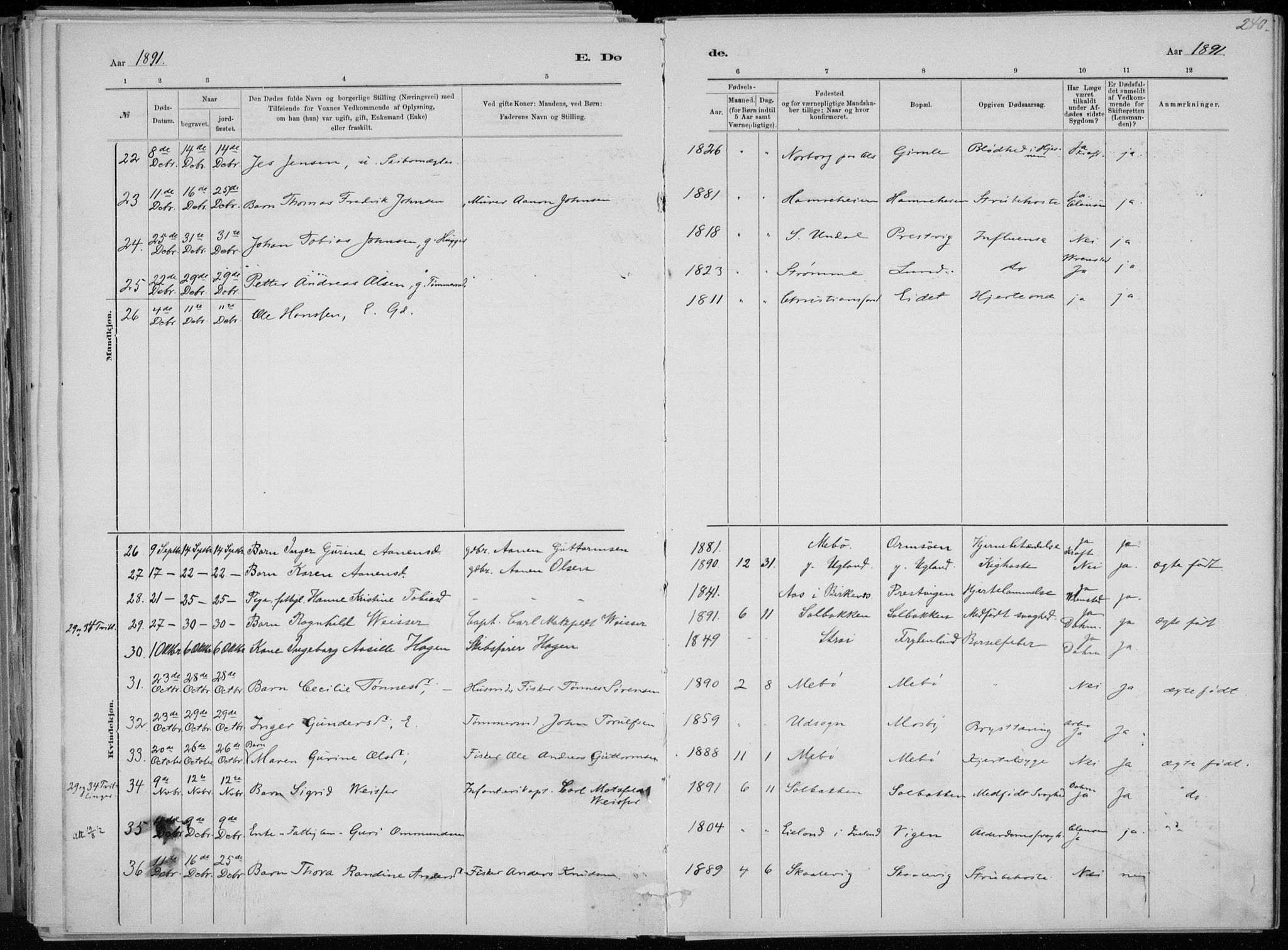 Oddernes sokneprestkontor, SAK/1111-0033/F/Fa/Faa/L0009: Parish register (official) no. A 9, 1884-1896, p. 240