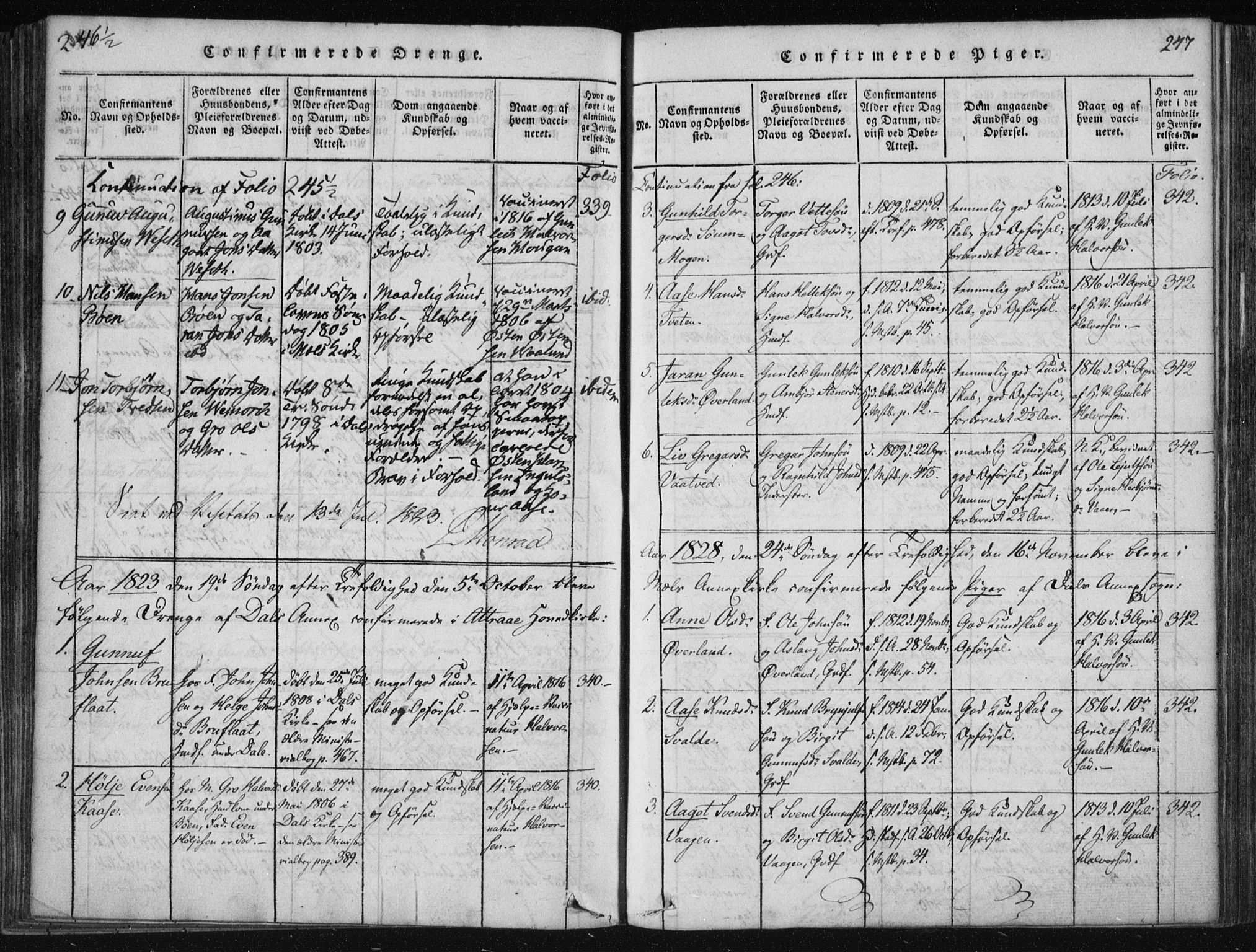 Tinn kirkebøker, SAKO/A-308/F/Fc/L0001: Parish register (official) no. III 1, 1815-1843, p. 247