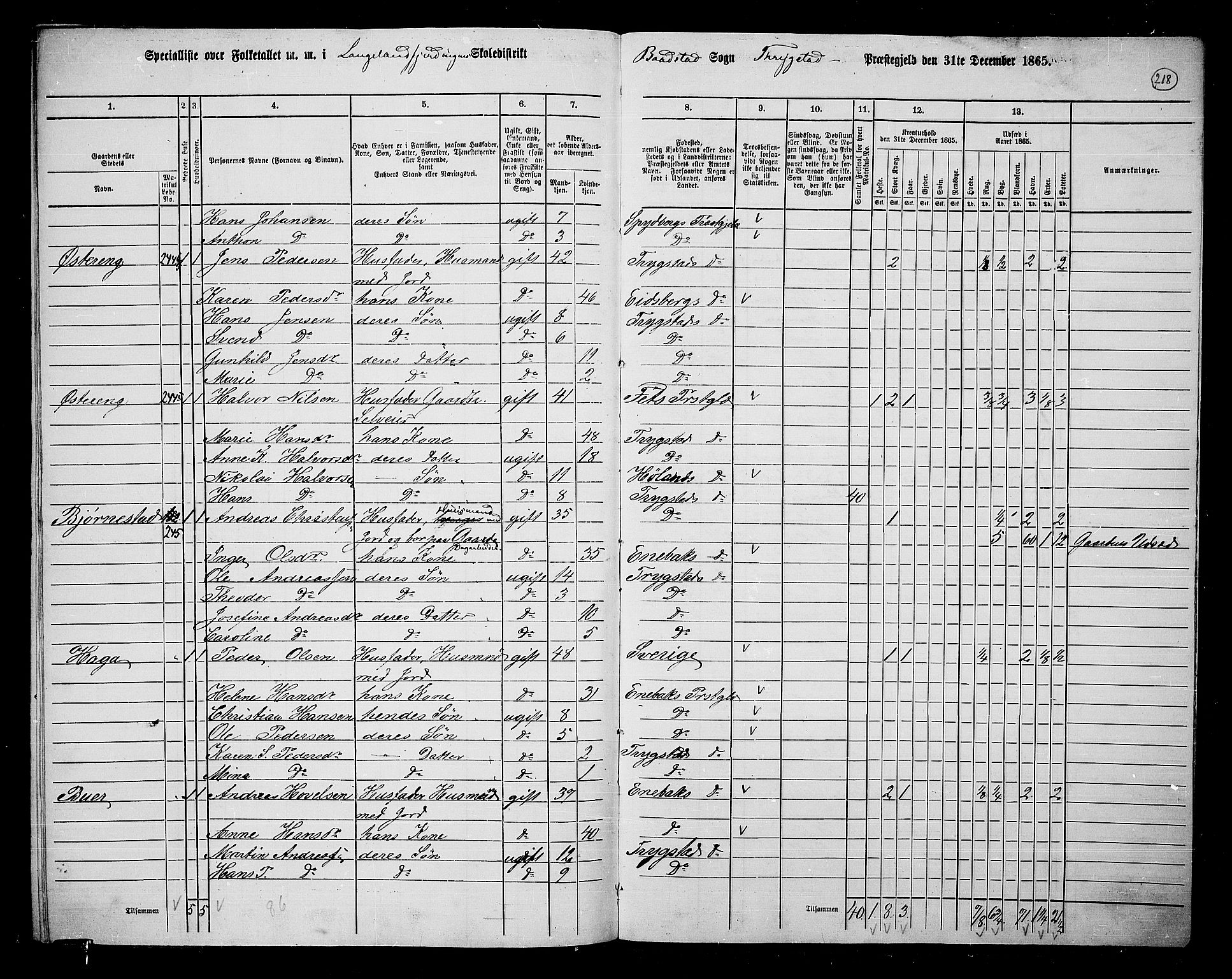 RA, 1865 census for Trøgstad, 1865, p. 193