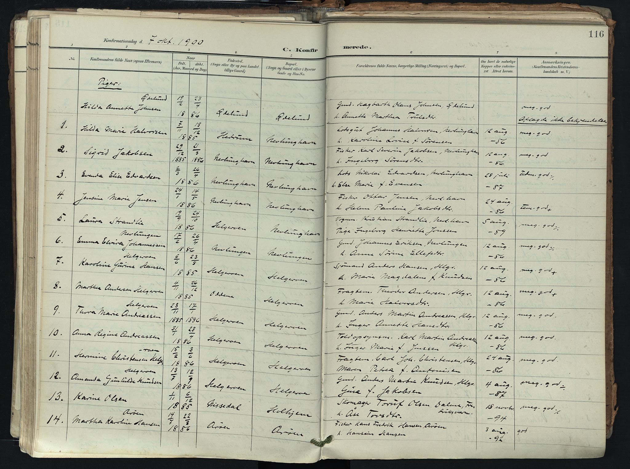Brunlanes kirkebøker, AV/SAKO-A-342/F/Fb/L0003: Parish register (official) no. II 3, 1900-1922, p. 116