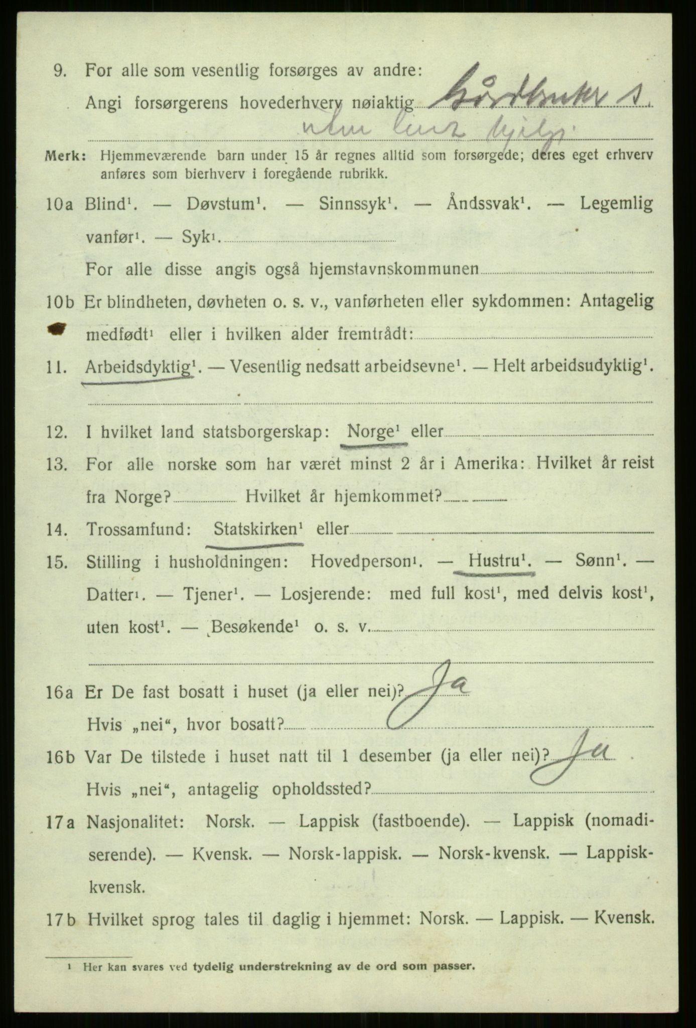 SATØ, 1920 census for Trondenes, 1920, p. 11832