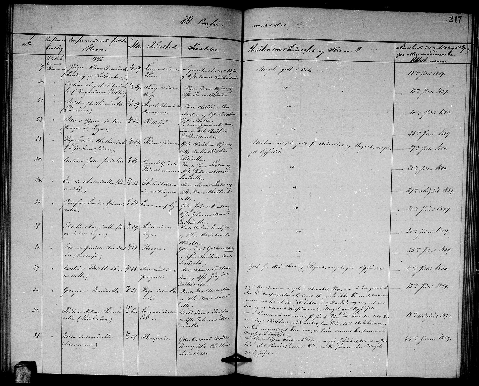 Høland prestekontor Kirkebøker, SAO/A-10346a/G/Ga/L0006: Parish register (copy) no. I 6, 1869-1879, p. 217