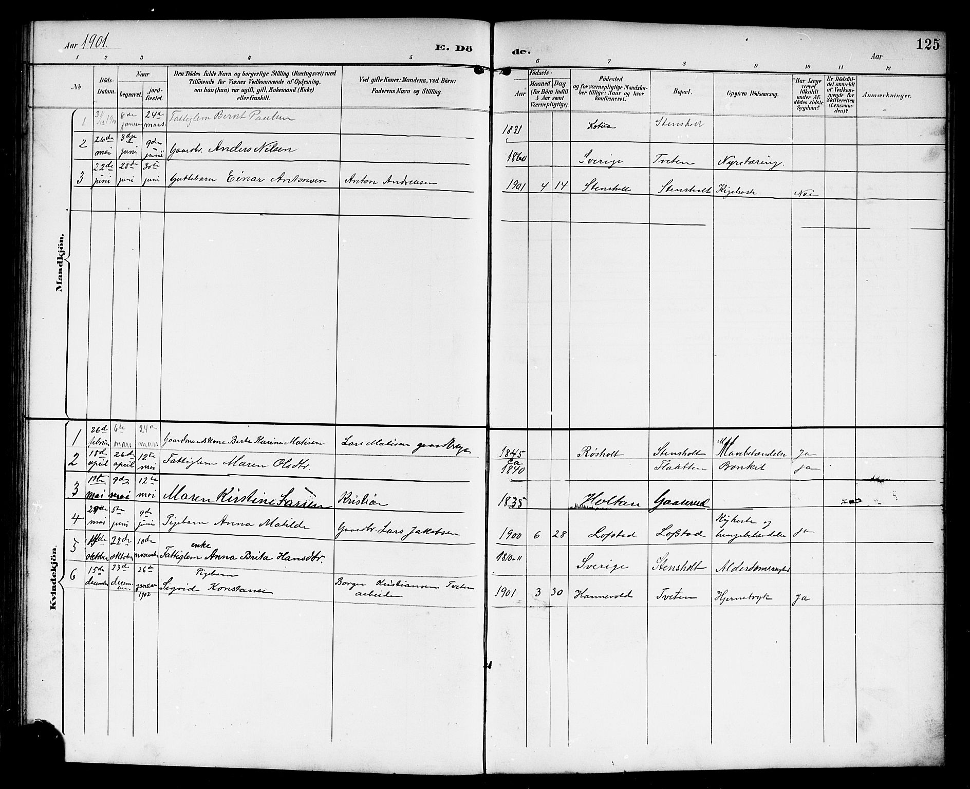 Lardal kirkebøker, AV/SAKO-A-350/G/Gc/L0002: Parish register (copy) no. III 2, 1894-1918, p. 125