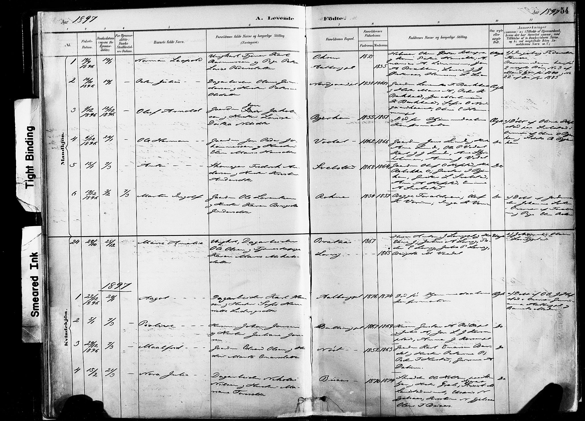 Ministerialprotokoller, klokkerbøker og fødselsregistre - Nord-Trøndelag, AV/SAT-A-1458/735/L0351: Parish register (official) no. 735A10, 1884-1908, p. 54