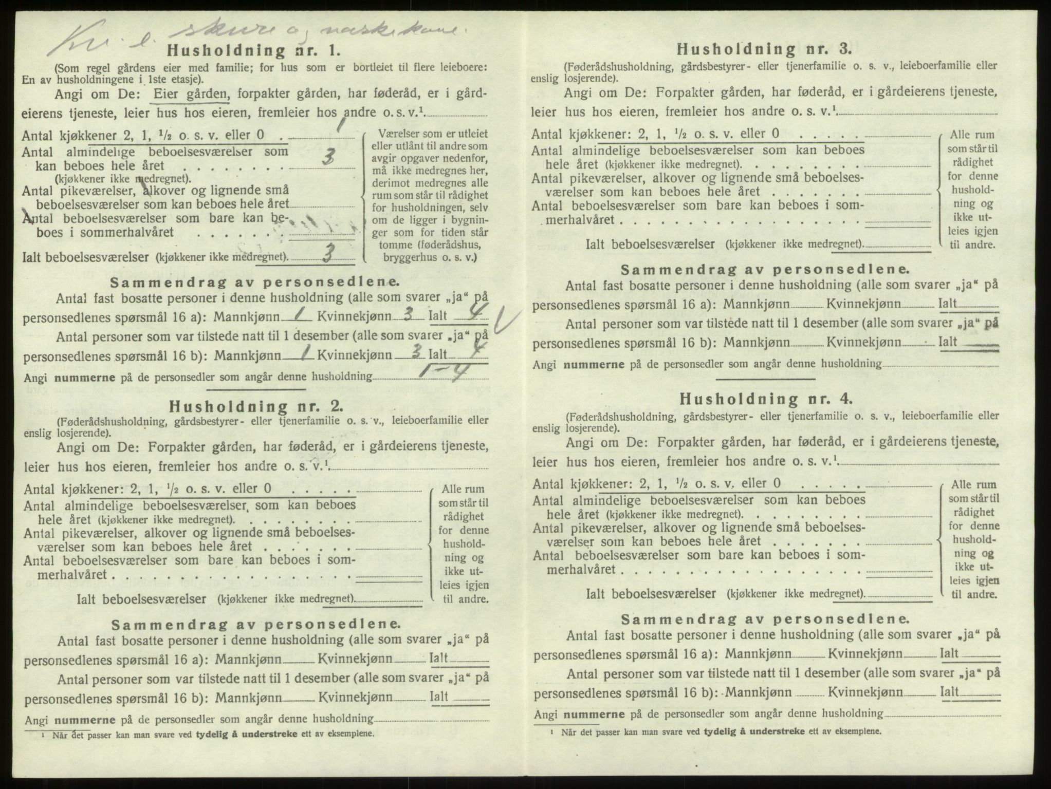 SAO, 1920 census for Skjeberg, 1920, p. 877