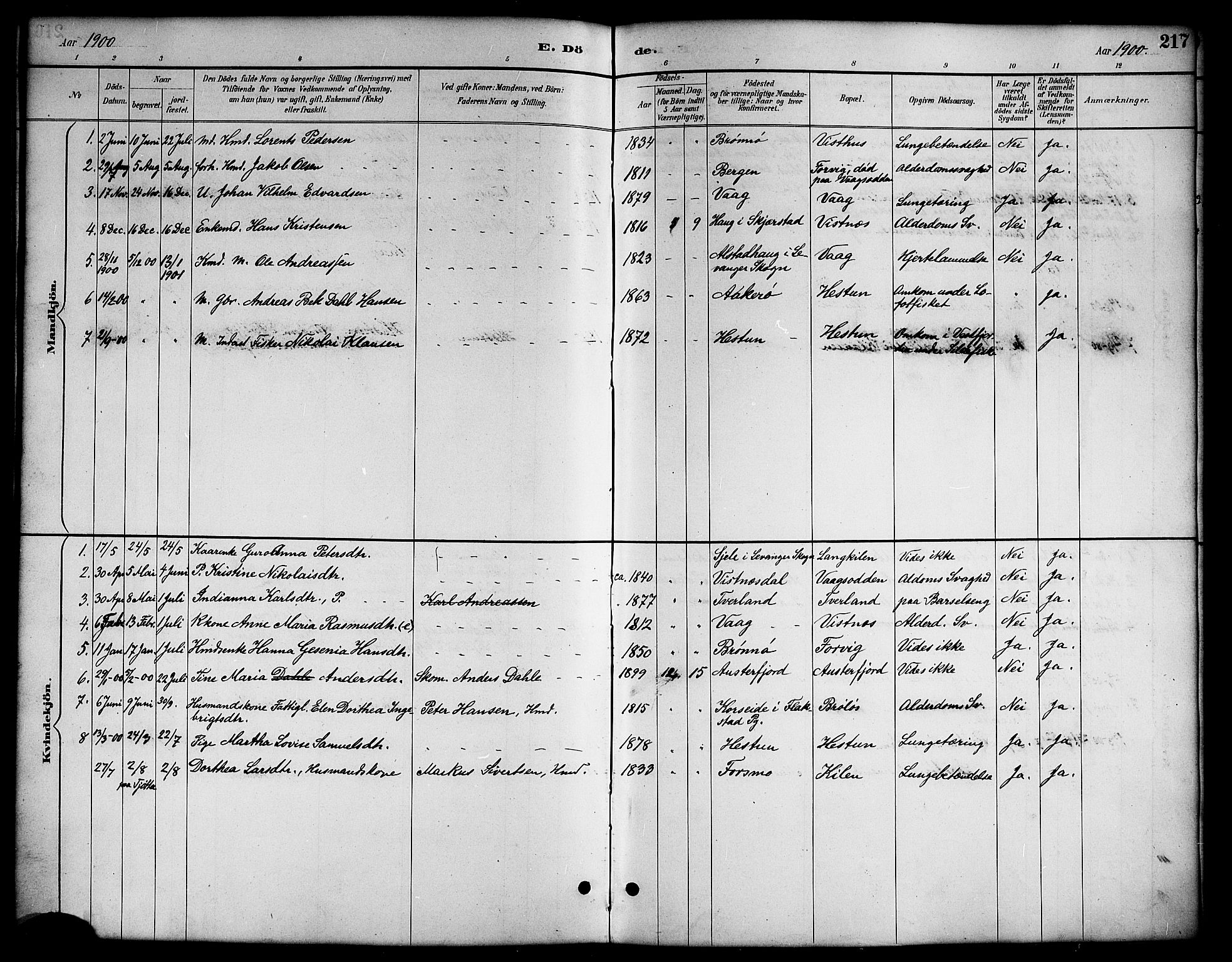 Ministerialprotokoller, klokkerbøker og fødselsregistre - Nordland, AV/SAT-A-1459/819/L0277: Parish register (copy) no. 819C03, 1888-1917, p. 217