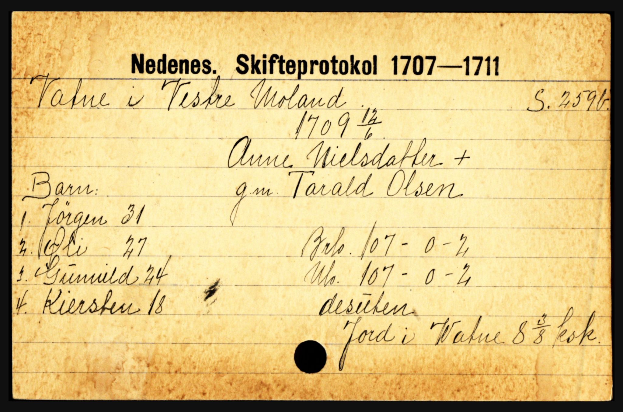 Nedenes sorenskriveri før 1824, AV/SAK-1221-0007/H, p. 32601