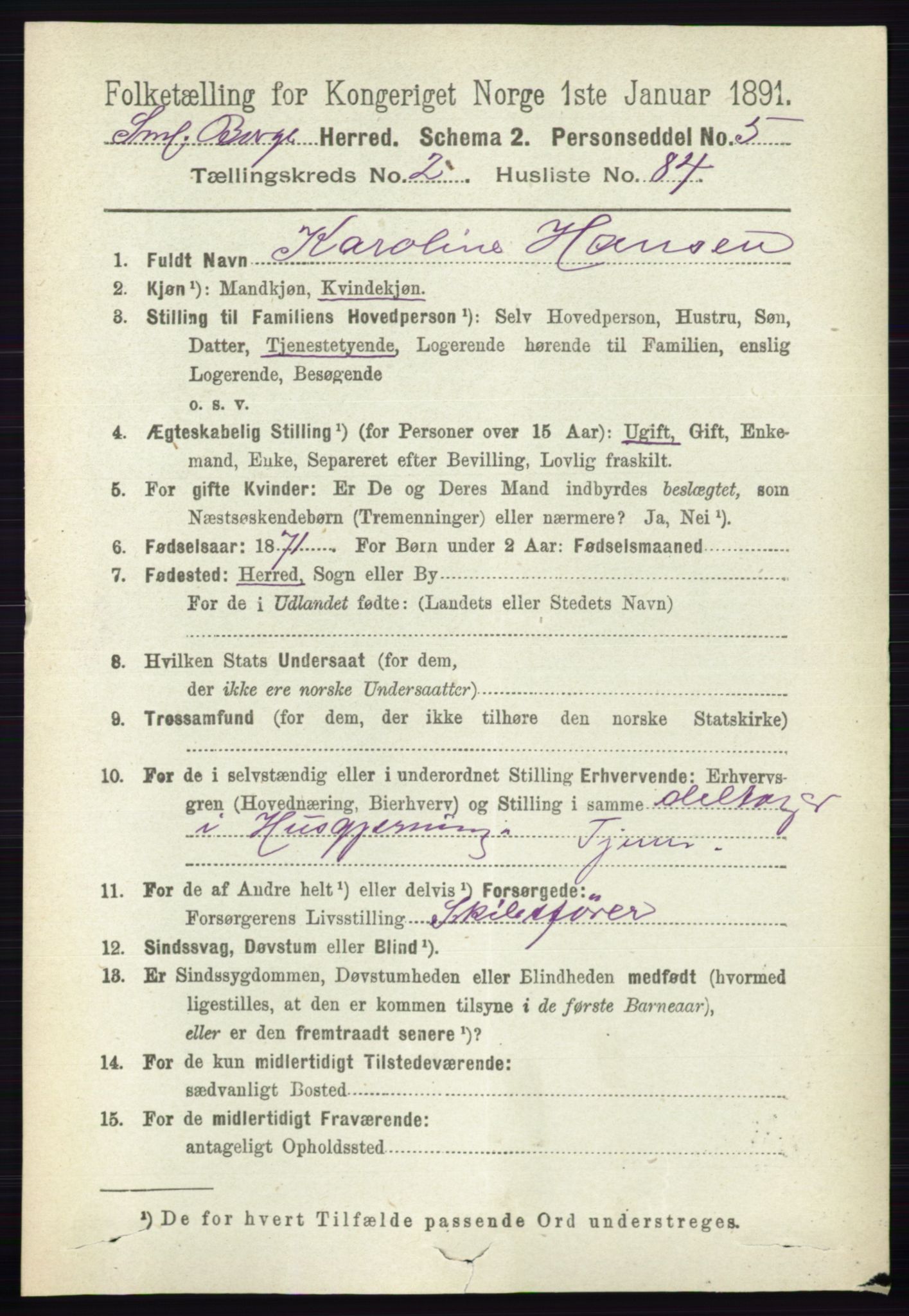 RA, 1891 census for 0113 Borge, 1891, p. 1342