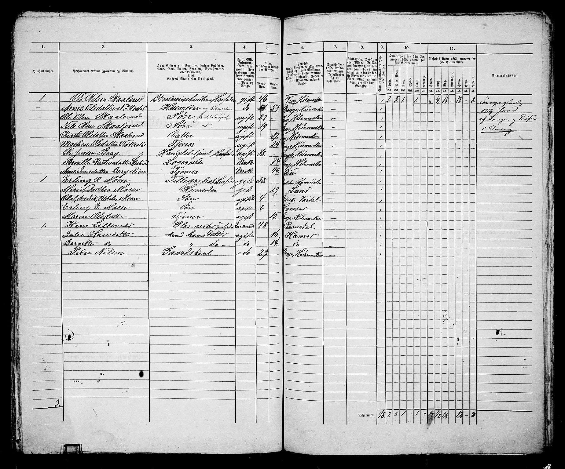 RA, 1865 census for Vang/Hamar, 1865, p. 186