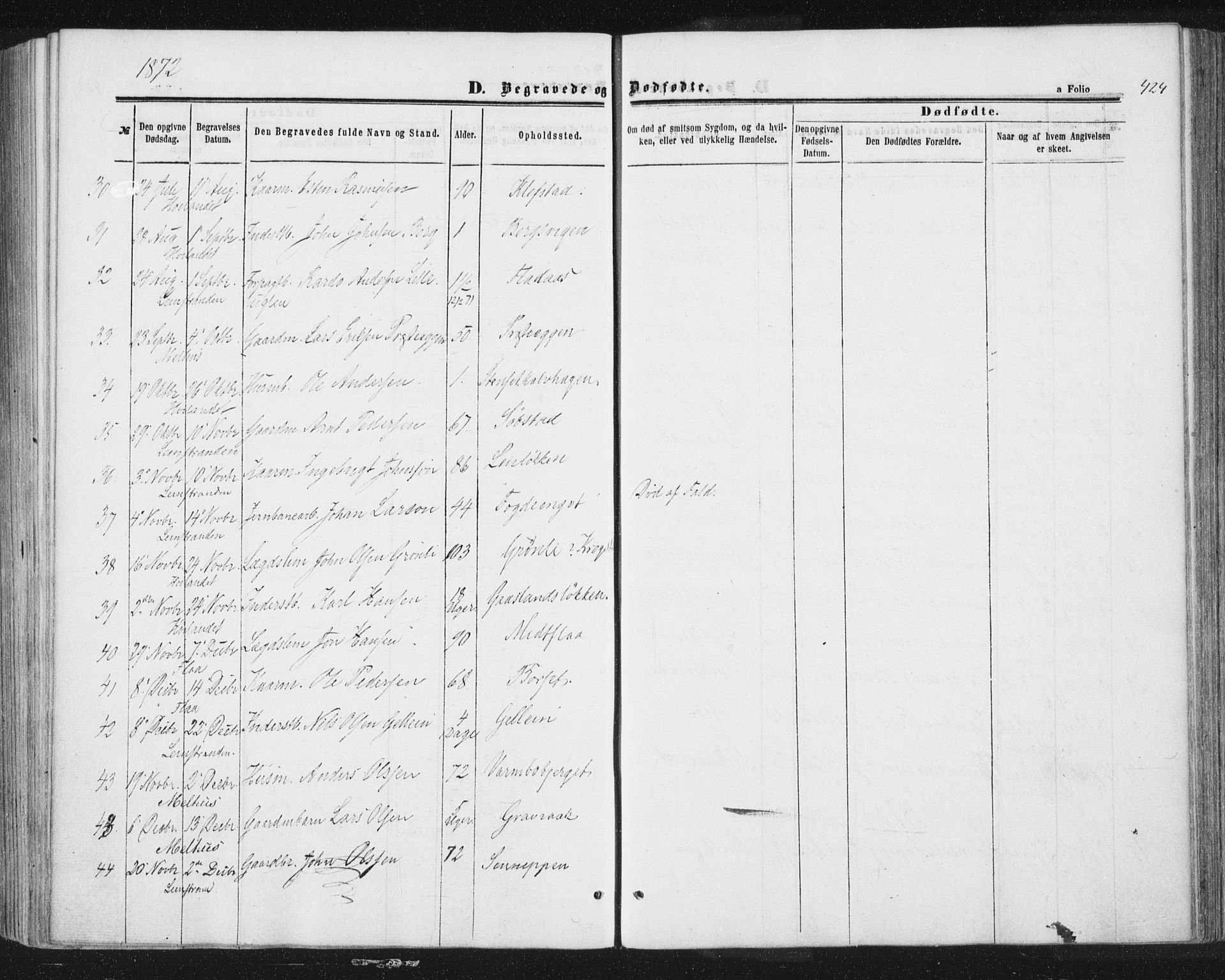Ministerialprotokoller, klokkerbøker og fødselsregistre - Sør-Trøndelag, SAT/A-1456/691/L1077: Parish register (official) no. 691A09, 1862-1873, p. 424