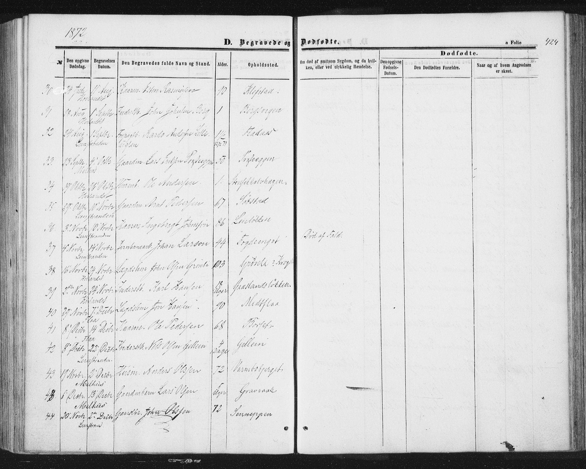 Ministerialprotokoller, klokkerbøker og fødselsregistre - Sør-Trøndelag, AV/SAT-A-1456/691/L1077: Parish register (official) no. 691A09, 1862-1873, p. 424