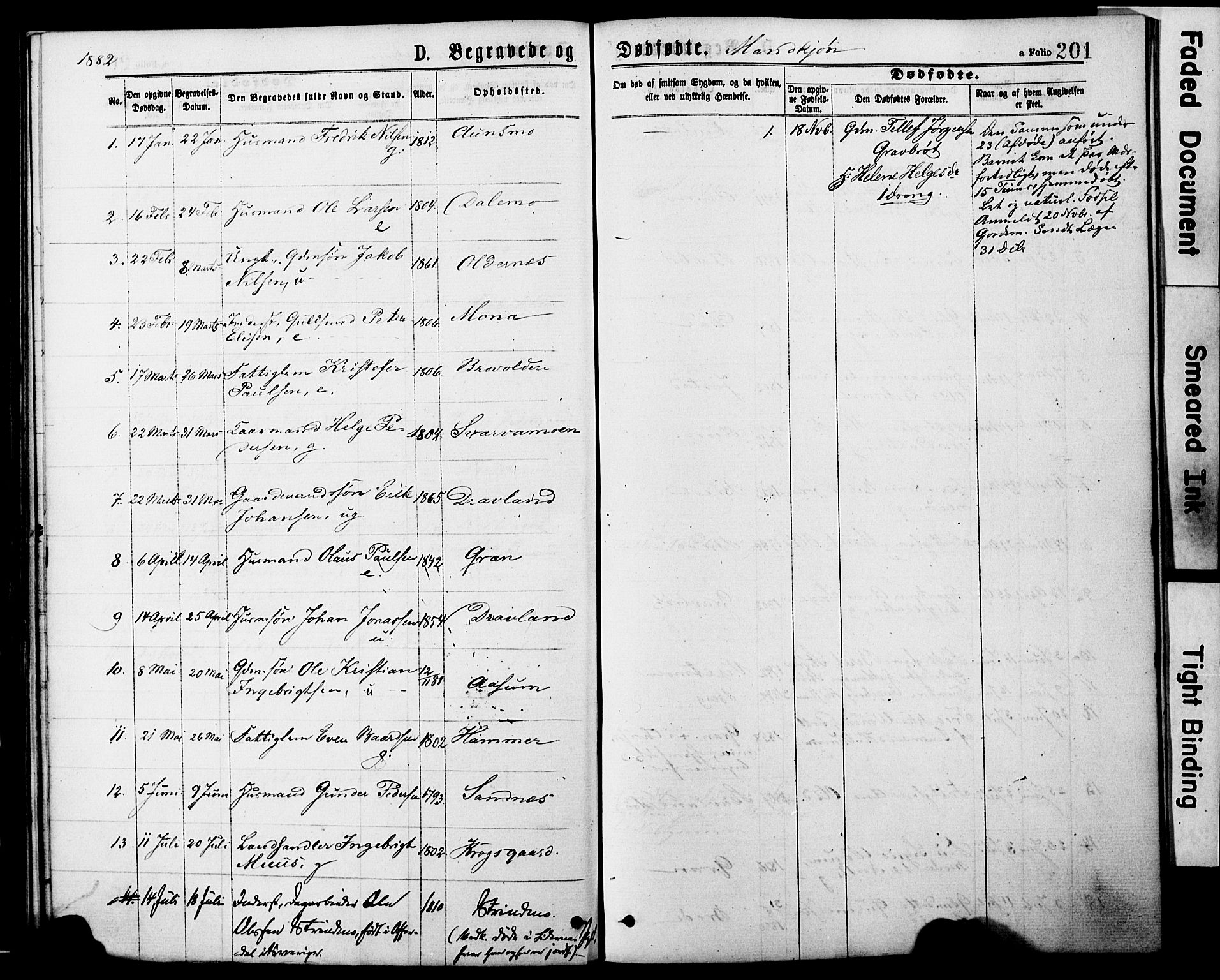 Ministerialprotokoller, klokkerbøker og fødselsregistre - Nord-Trøndelag, AV/SAT-A-1458/749/L0473: Parish register (official) no. 749A07, 1873-1887, p. 201