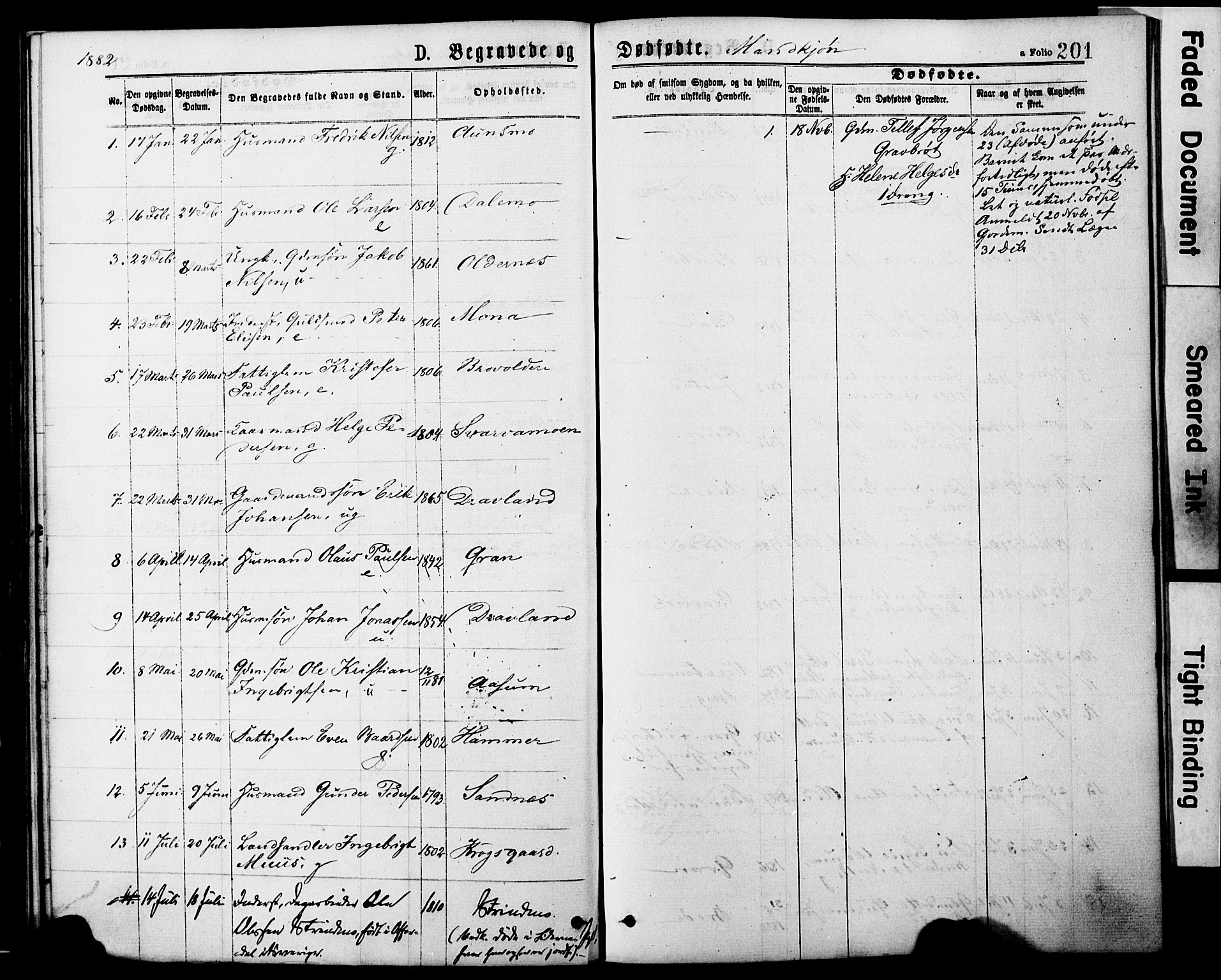 Ministerialprotokoller, klokkerbøker og fødselsregistre - Nord-Trøndelag, AV/SAT-A-1458/749/L0473: Parish register (official) no. 749A07, 1873-1887, p. 201