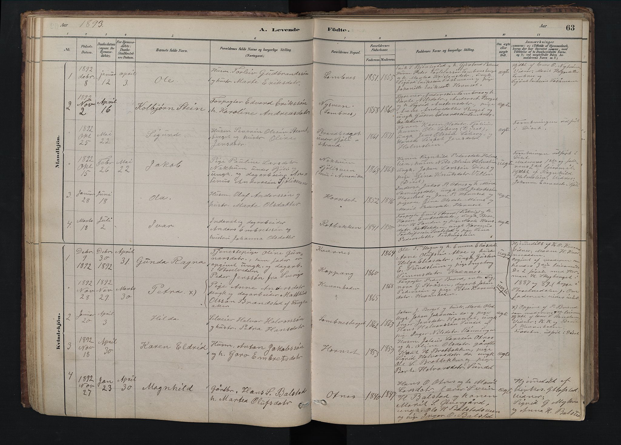 Rendalen prestekontor, SAH/PREST-054/H/Ha/Hab/L0009: Parish register (copy) no. 9, 1879-1902, p. 63