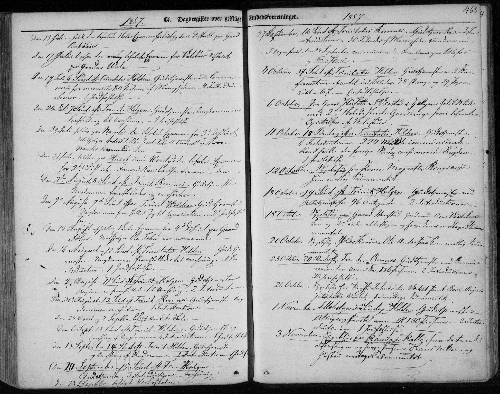 Holla kirkebøker, SAKO/A-272/F/Fa/L0005: Parish register (official) no. 5, 1849-1860, p. 463