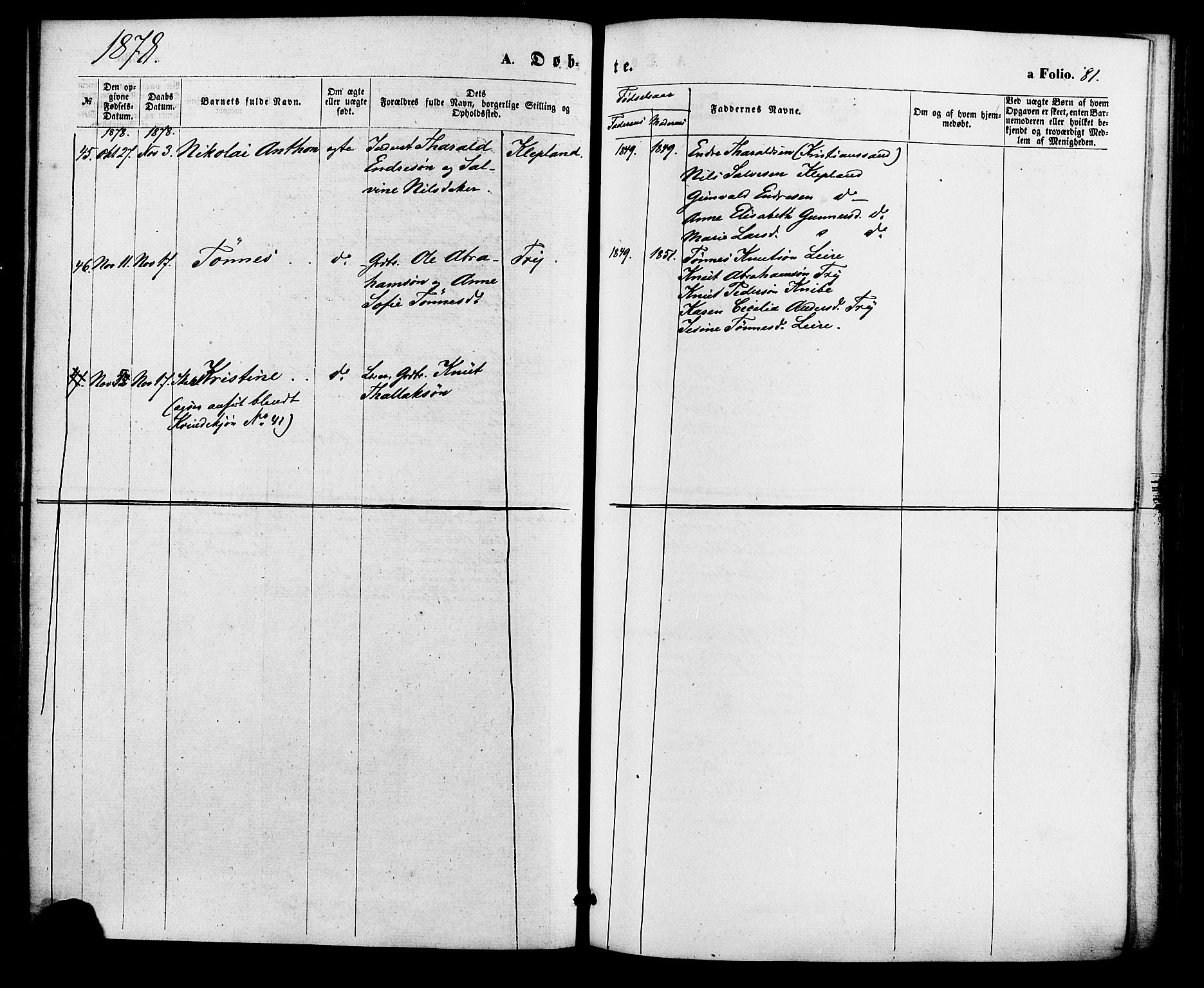 Søgne sokneprestkontor, SAK/1111-0037/F/Fa/Fab/L0011: Parish register (official) no. A 11, 1869-1879, p. 81