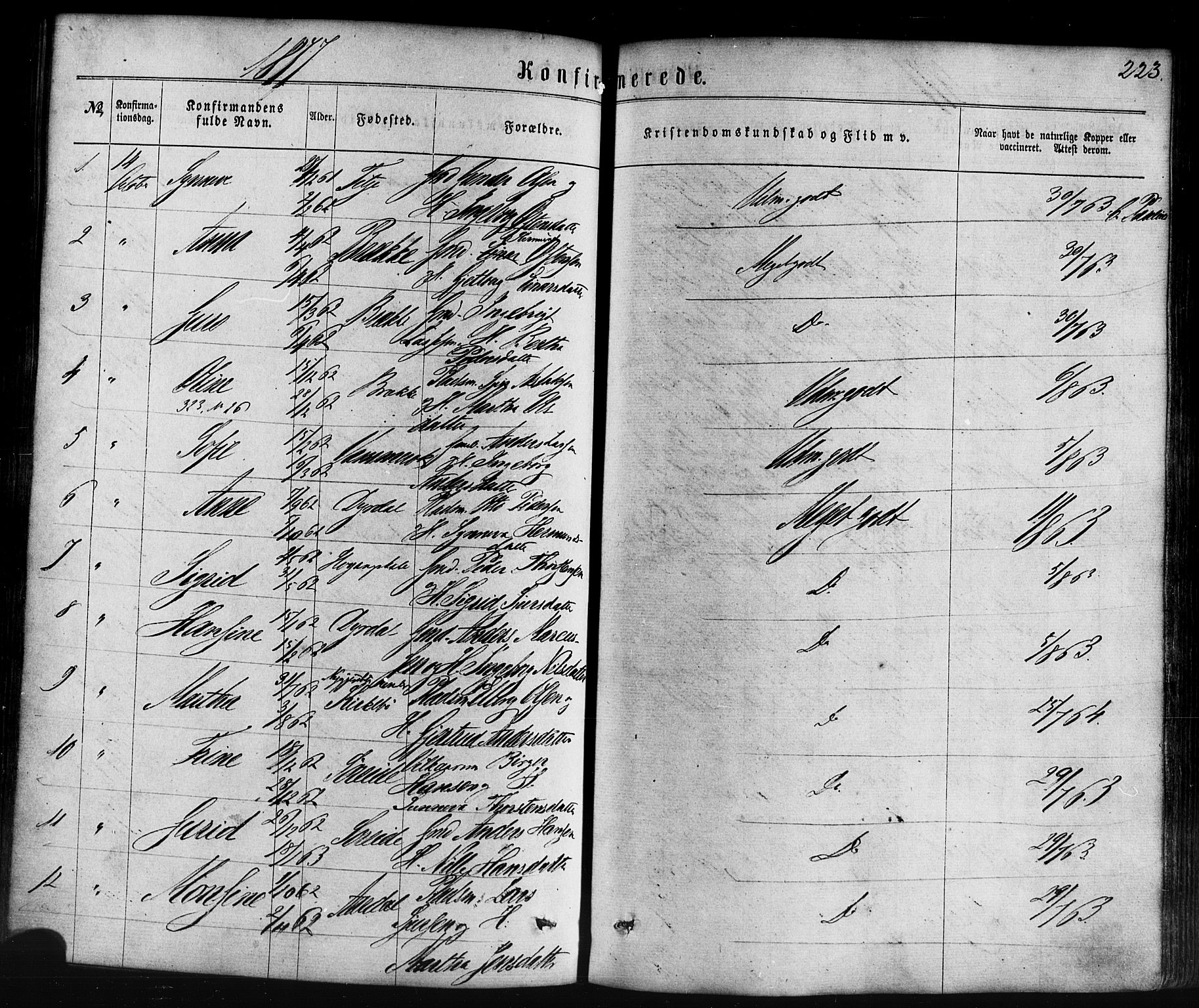 Lavik sokneprestembete, SAB/A-80901: Parish register (official) no. A 4, 1864-1881, p. 223