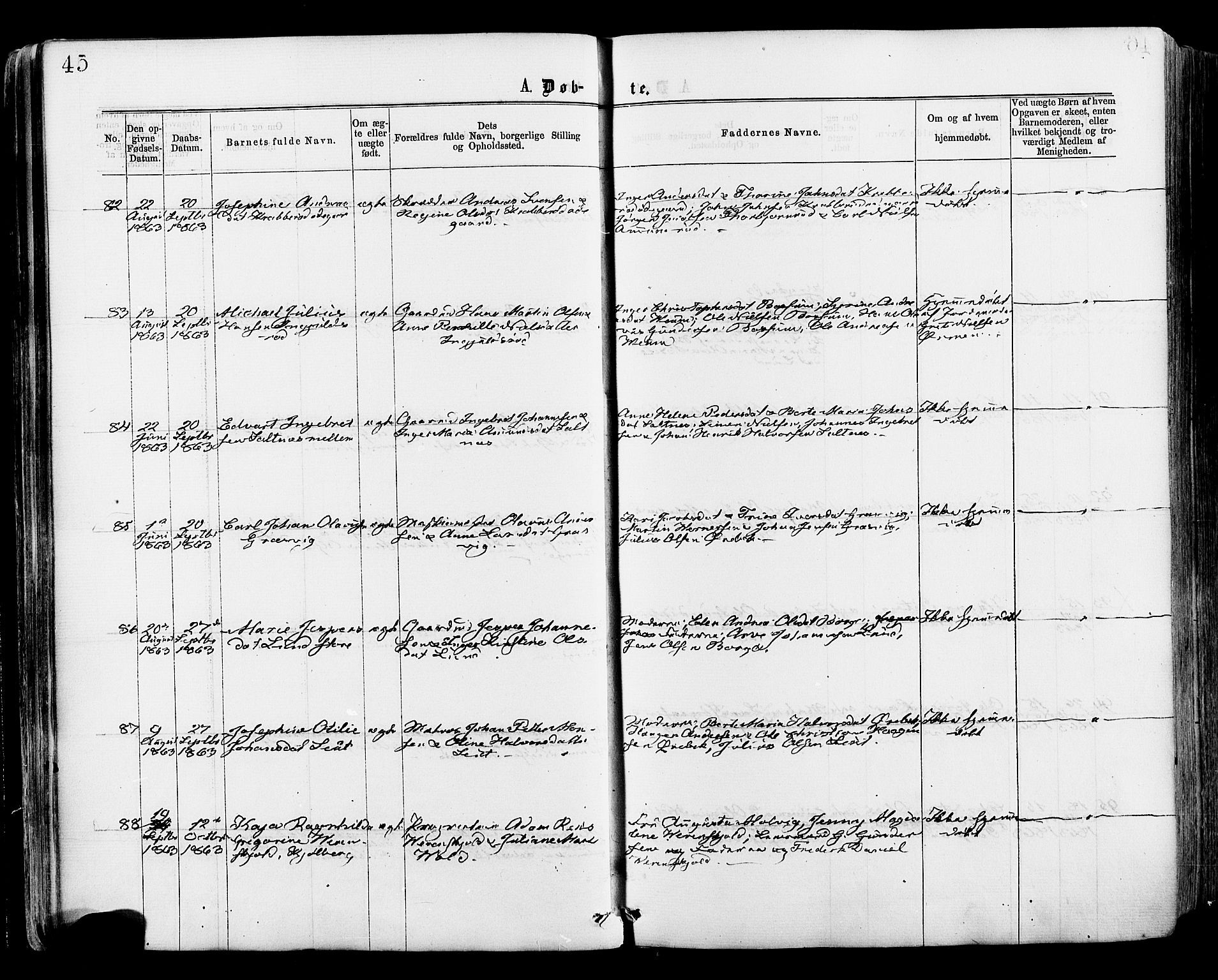 Onsøy prestekontor Kirkebøker, AV/SAO-A-10914/F/Fa/L0004: Parish register (official) no. I 4, 1861-1877, p. 45