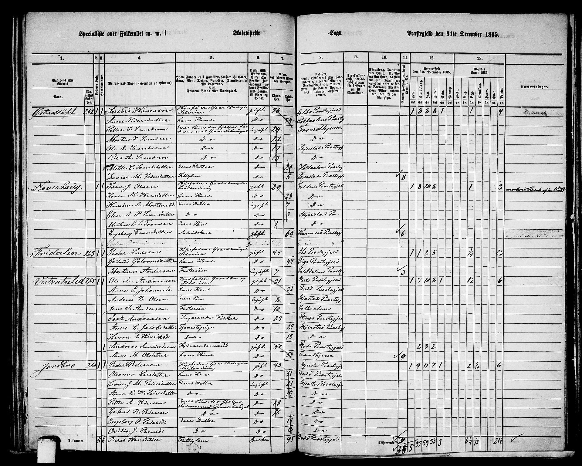 RA, 1865 census for Skjerstad, 1865, p. 132