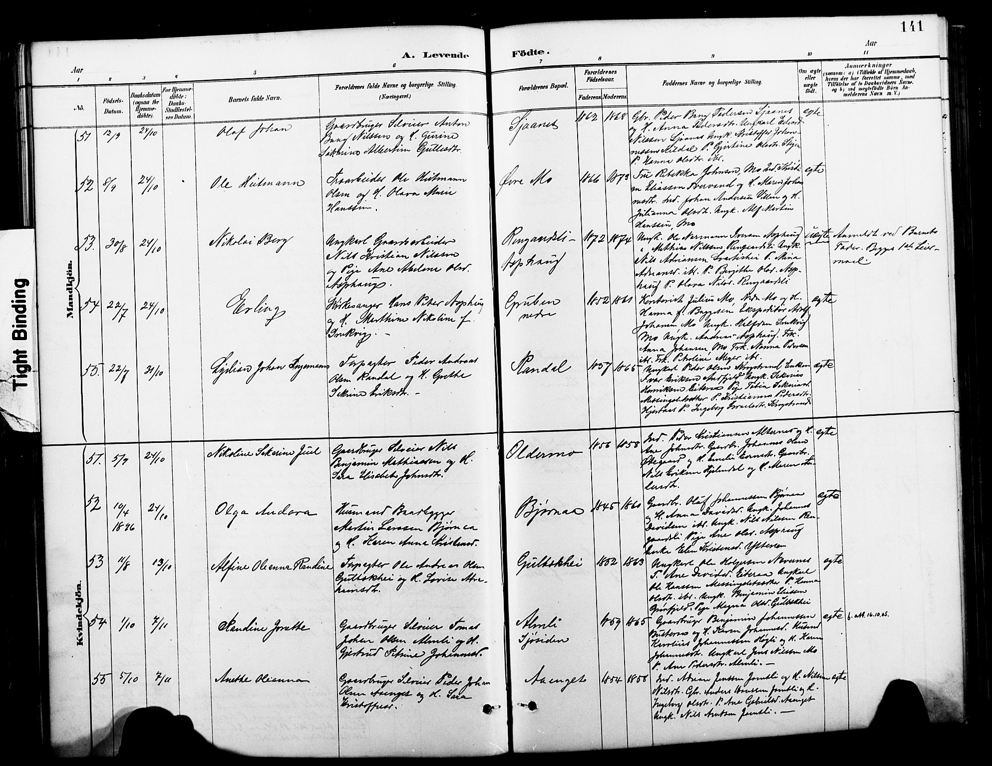 Ministerialprotokoller, klokkerbøker og fødselsregistre - Nordland, AV/SAT-A-1459/827/L0421: Parish register (copy) no. 827C10, 1887-1906, p. 141