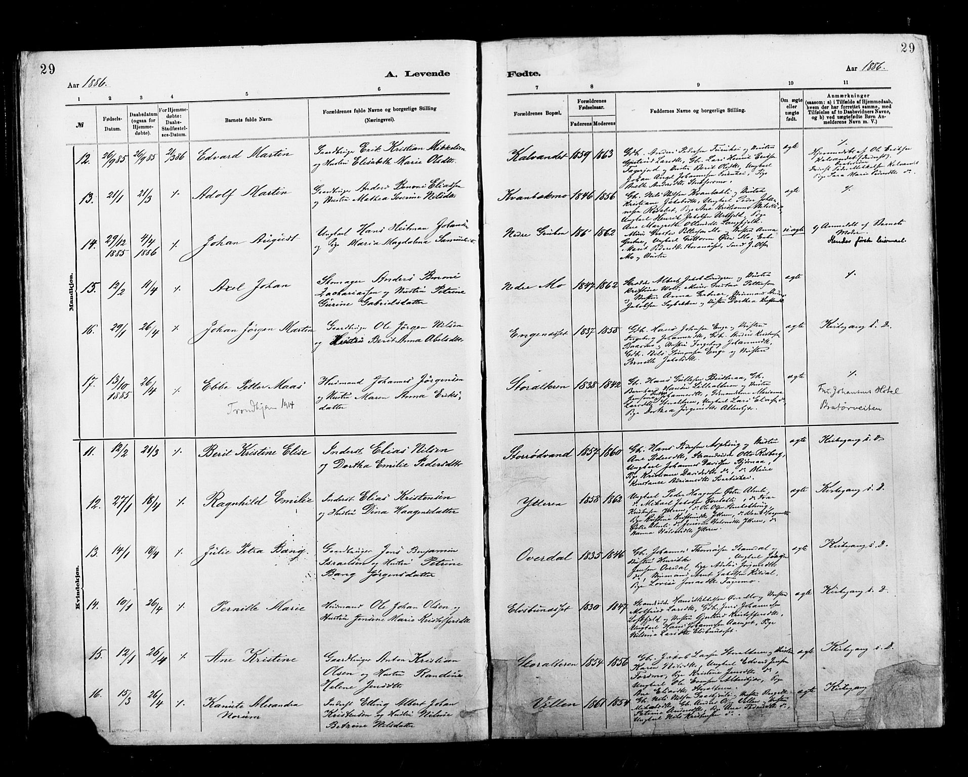 Ministerialprotokoller, klokkerbøker og fødselsregistre - Nordland, AV/SAT-A-1459/827/L0400: Parish register (official) no. 827A12, 1883-1903, p. 29