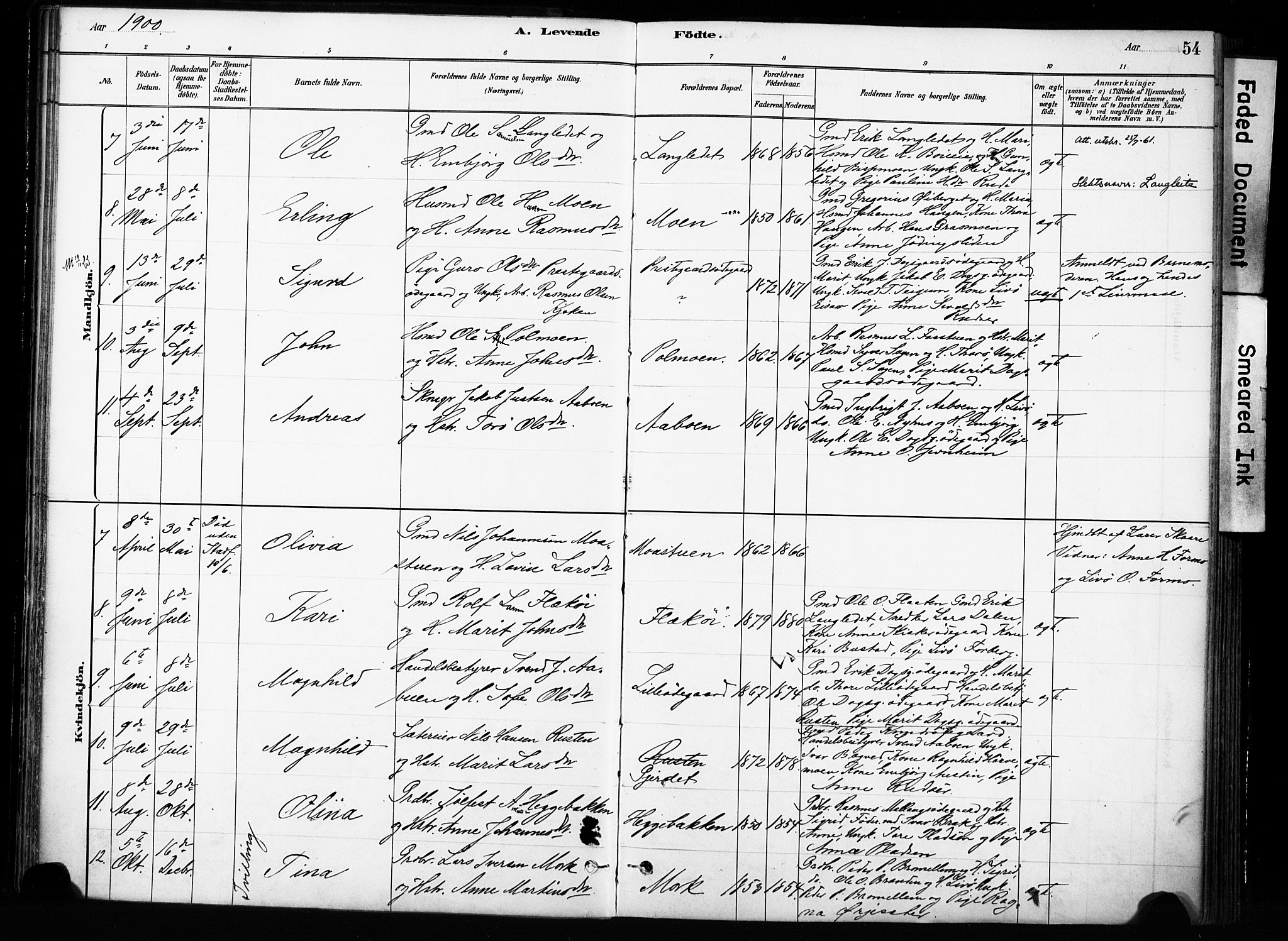 Skjåk prestekontor, AV/SAH-PREST-072/H/Ha/Haa/L0004: Parish register (official) no. 4, 1880-1904, p. 54