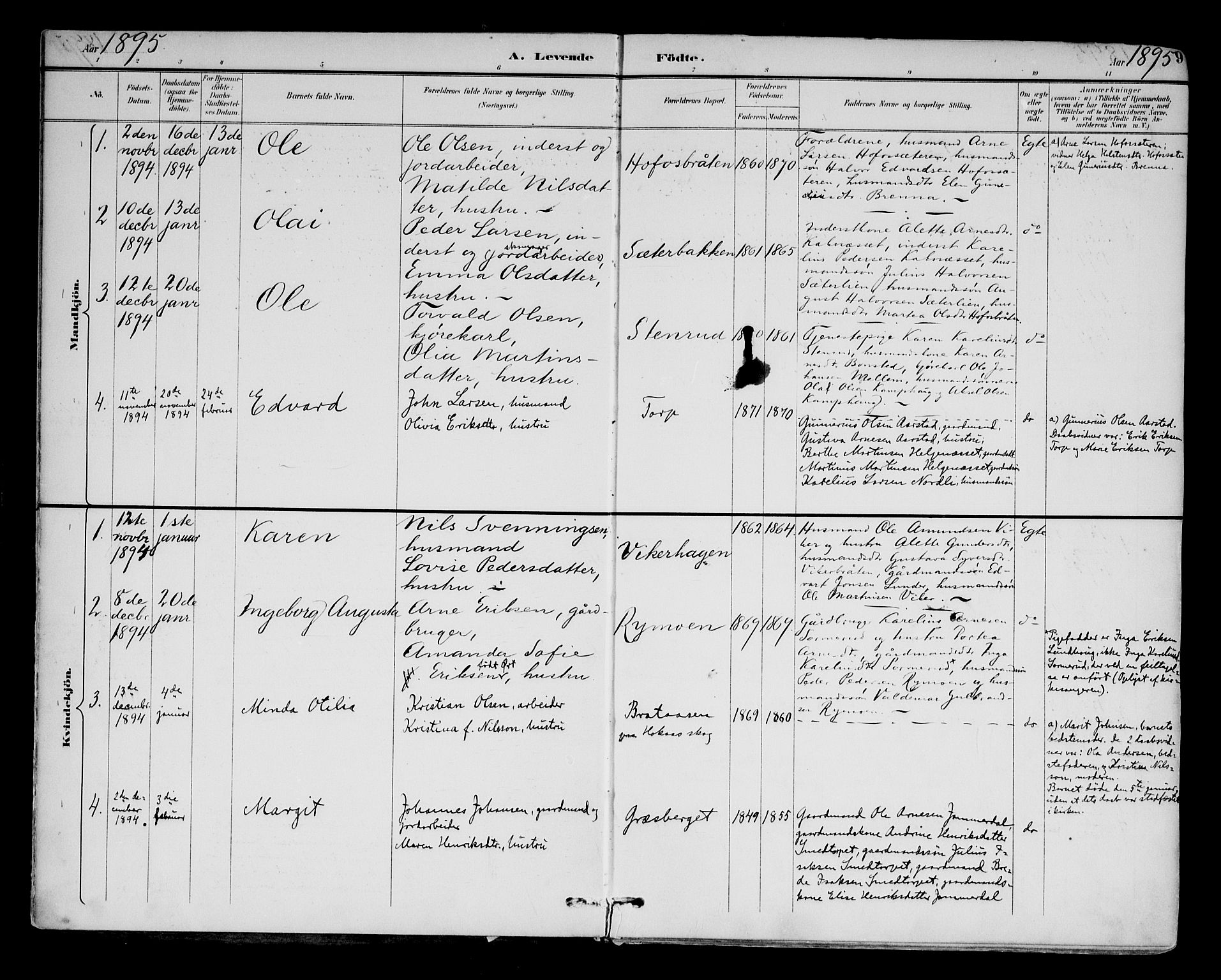 Brandval prestekontor, AV/SAH-PREST-034/H/Ha/Haa/L0003: Parish register (official) no. 3, 1894-1909, p. 9
