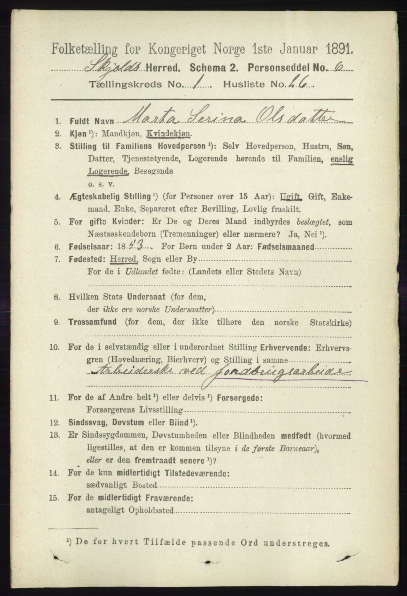 RA, 1891 census for 1154 Skjold, 1891, p. 208