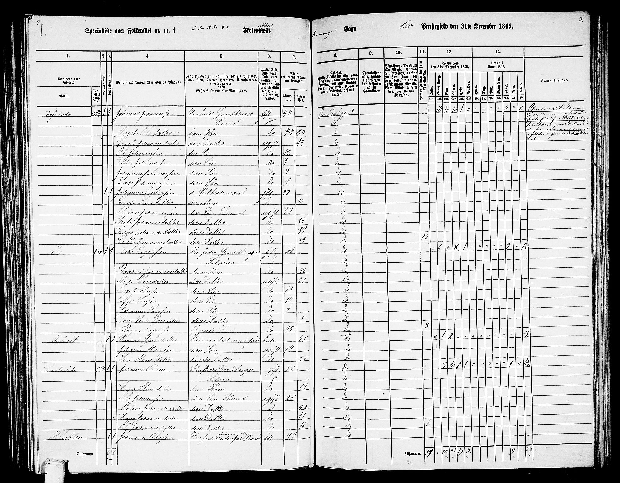 RA, 1865 census for Os, 1865, p. 138