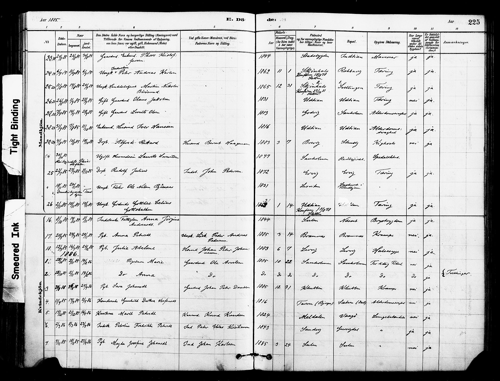 Ministerialprotokoller, klokkerbøker og fødselsregistre - Sør-Trøndelag, SAT/A-1456/640/L0578: Parish register (official) no. 640A03, 1879-1889, p. 225