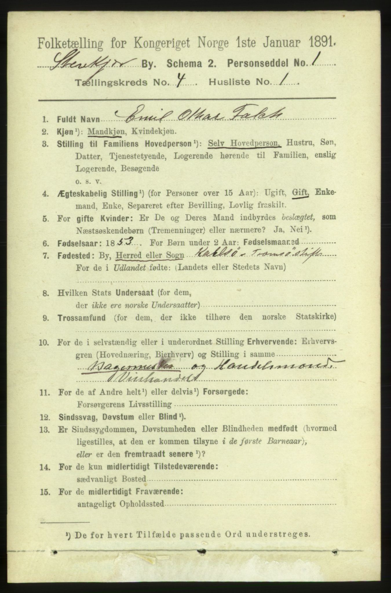 RA, 1891 census for 1702 Steinkjer, 1891, p. 1264