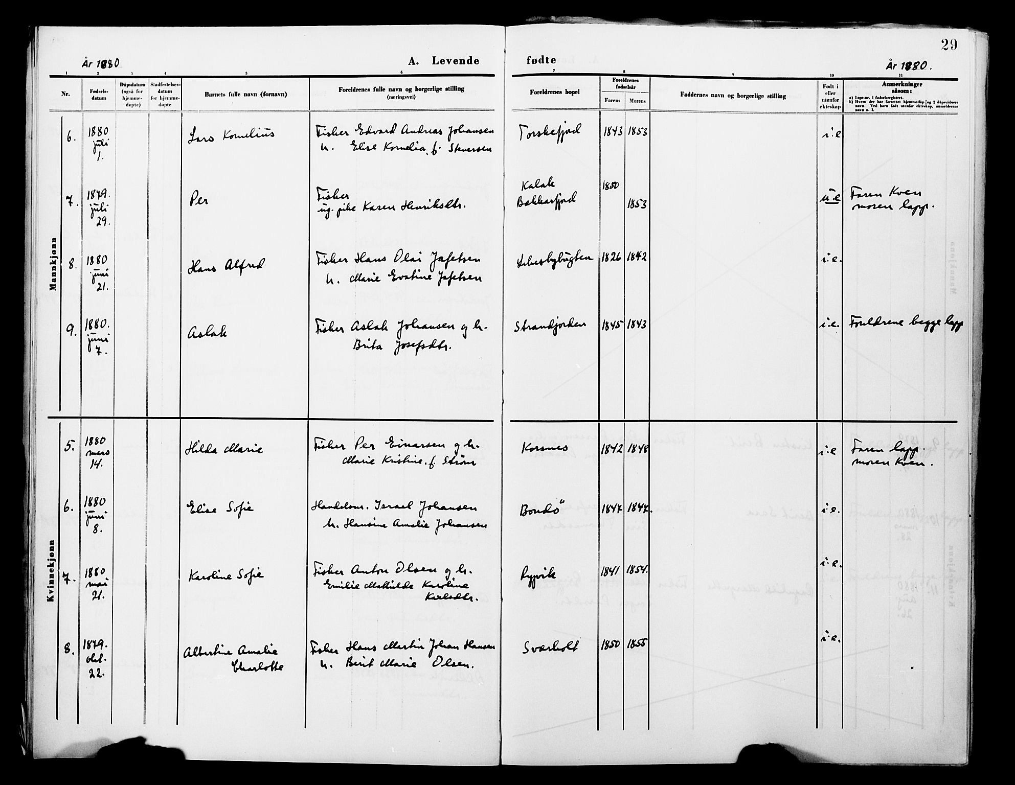 Lebesby sokneprestkontor, AV/SATØ-S-1353/H/Ha/L0004kirke: Parish register (official) no. 4, 1870-1902, p. 29