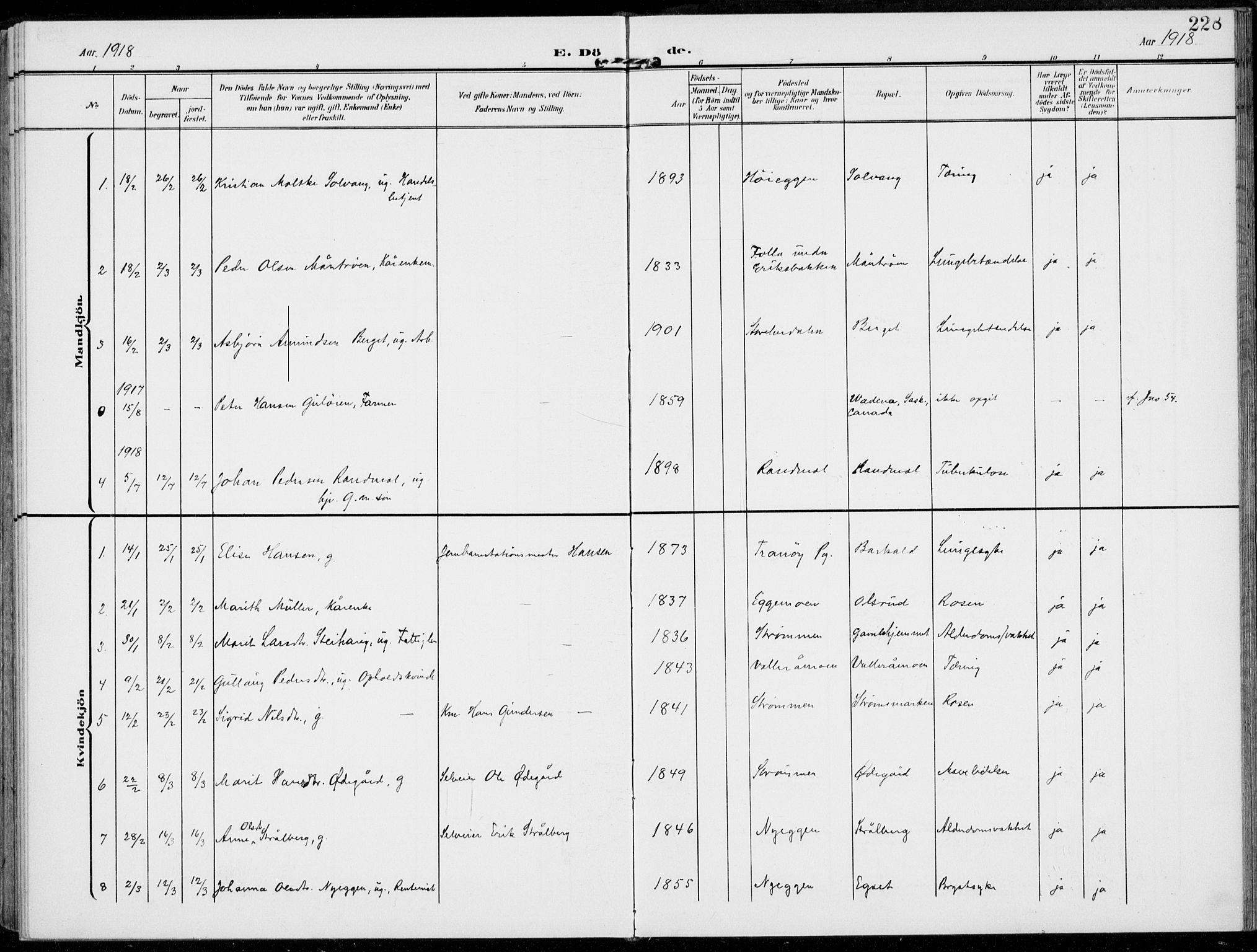 Alvdal prestekontor, SAH/PREST-060/H/Ha/Haa/L0004: Parish register (official) no. 4, 1907-1919, p. 228