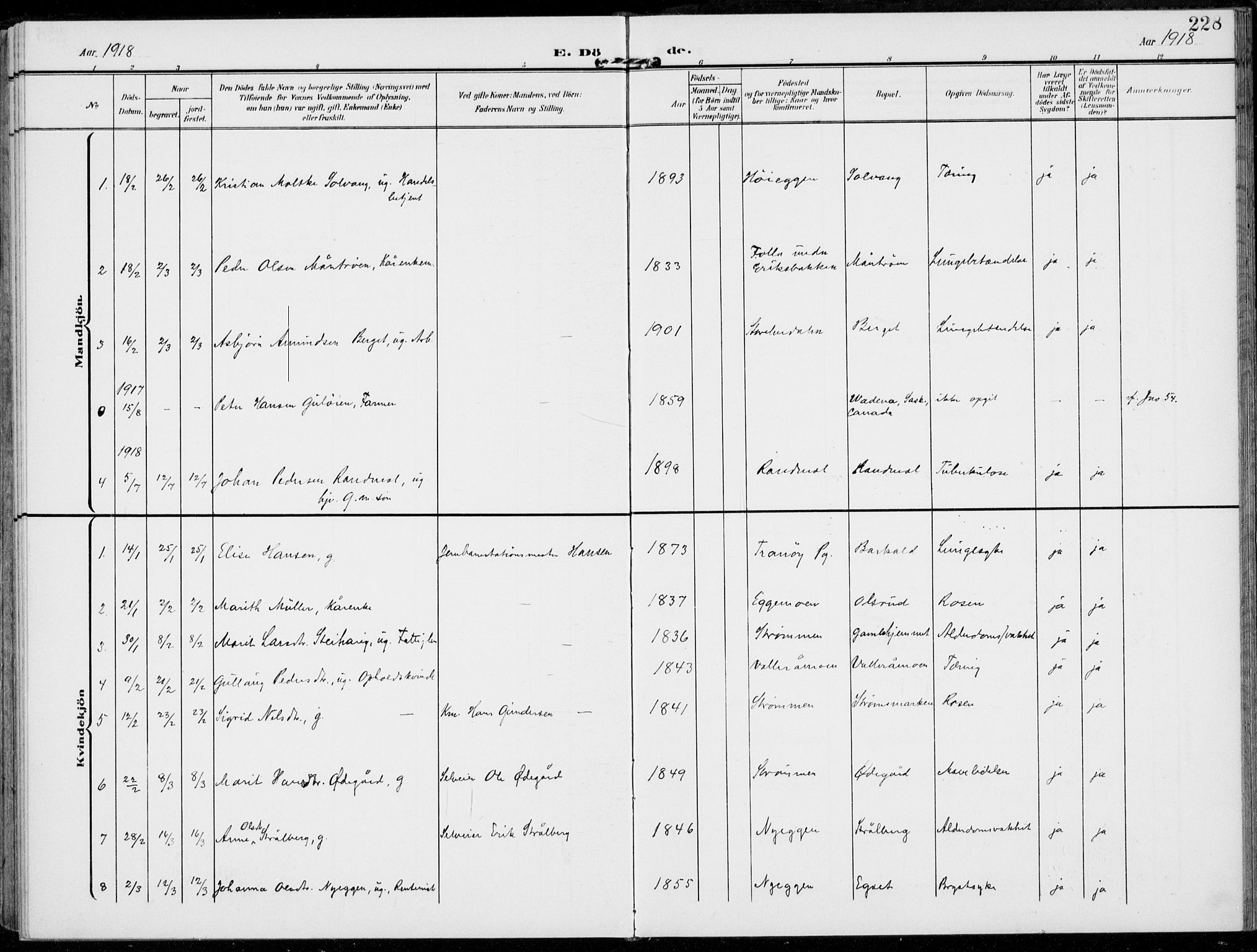 Alvdal prestekontor, AV/SAH-PREST-060/H/Ha/Haa/L0004: Parish register (official) no. 4, 1907-1919, p. 228