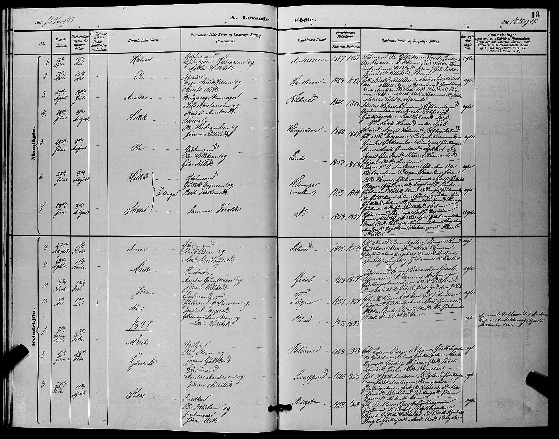 Flesberg kirkebøker, SAKO/A-18/G/Ga/L0004: Parish register (copy) no. I 4 /1, 1890-1898, p. 13