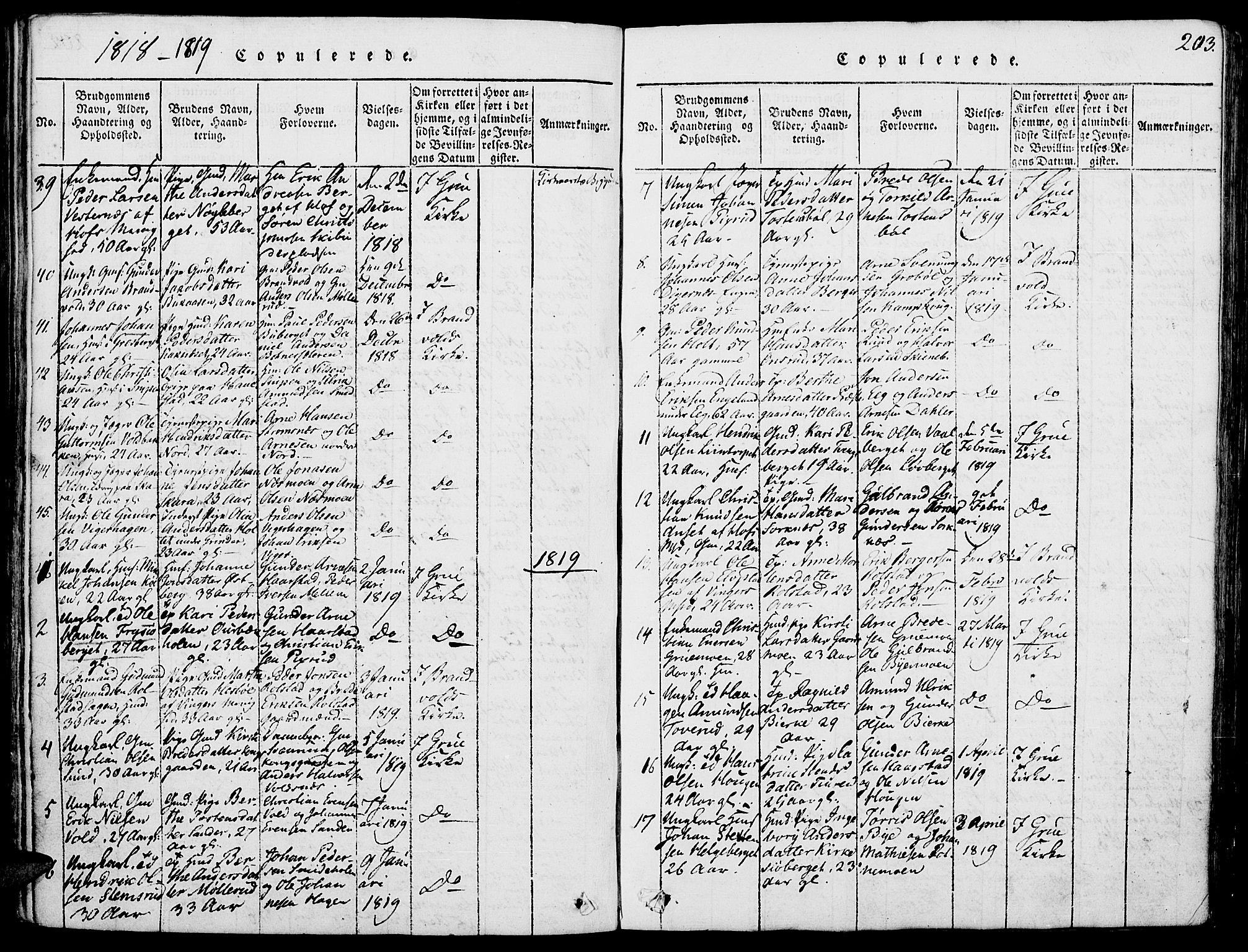 Grue prestekontor, SAH/PREST-036/H/Ha/Haa/L0006: Parish register (official) no. 6, 1814-1830, p. 203