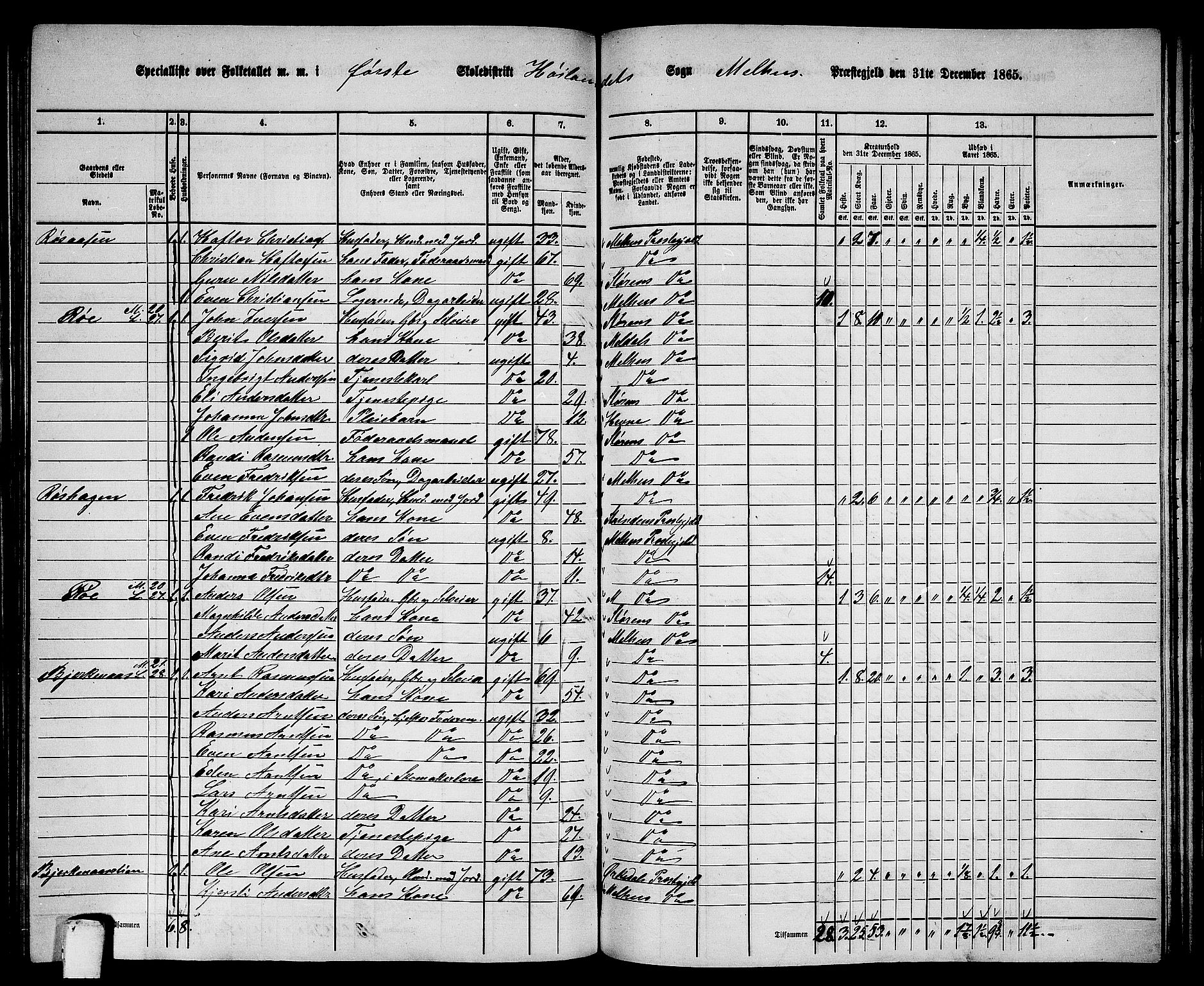 RA, 1865 census for Melhus, 1865, p. 173