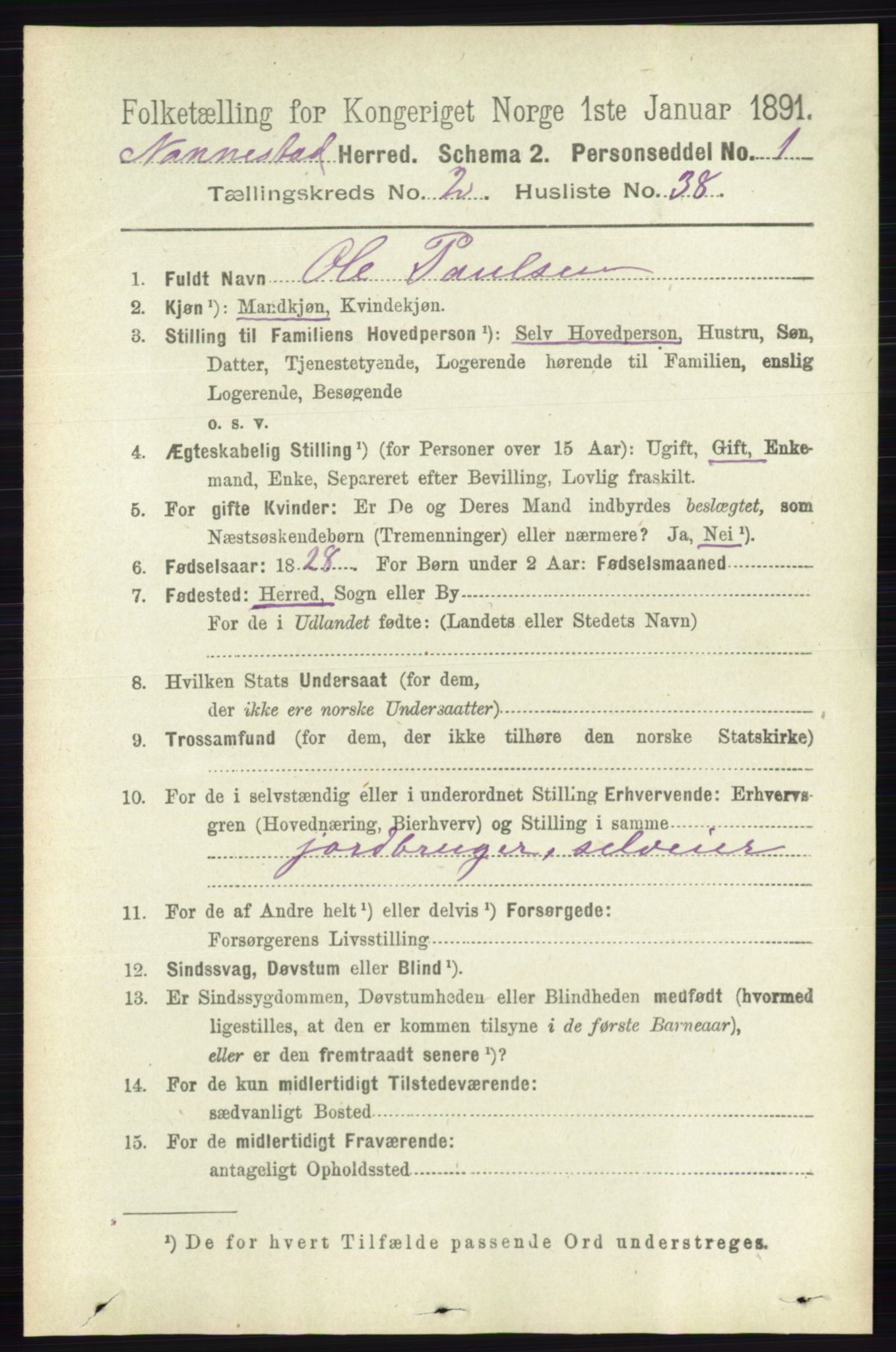 RA, 1891 census for 0238 Nannestad, 1891, p. 1093