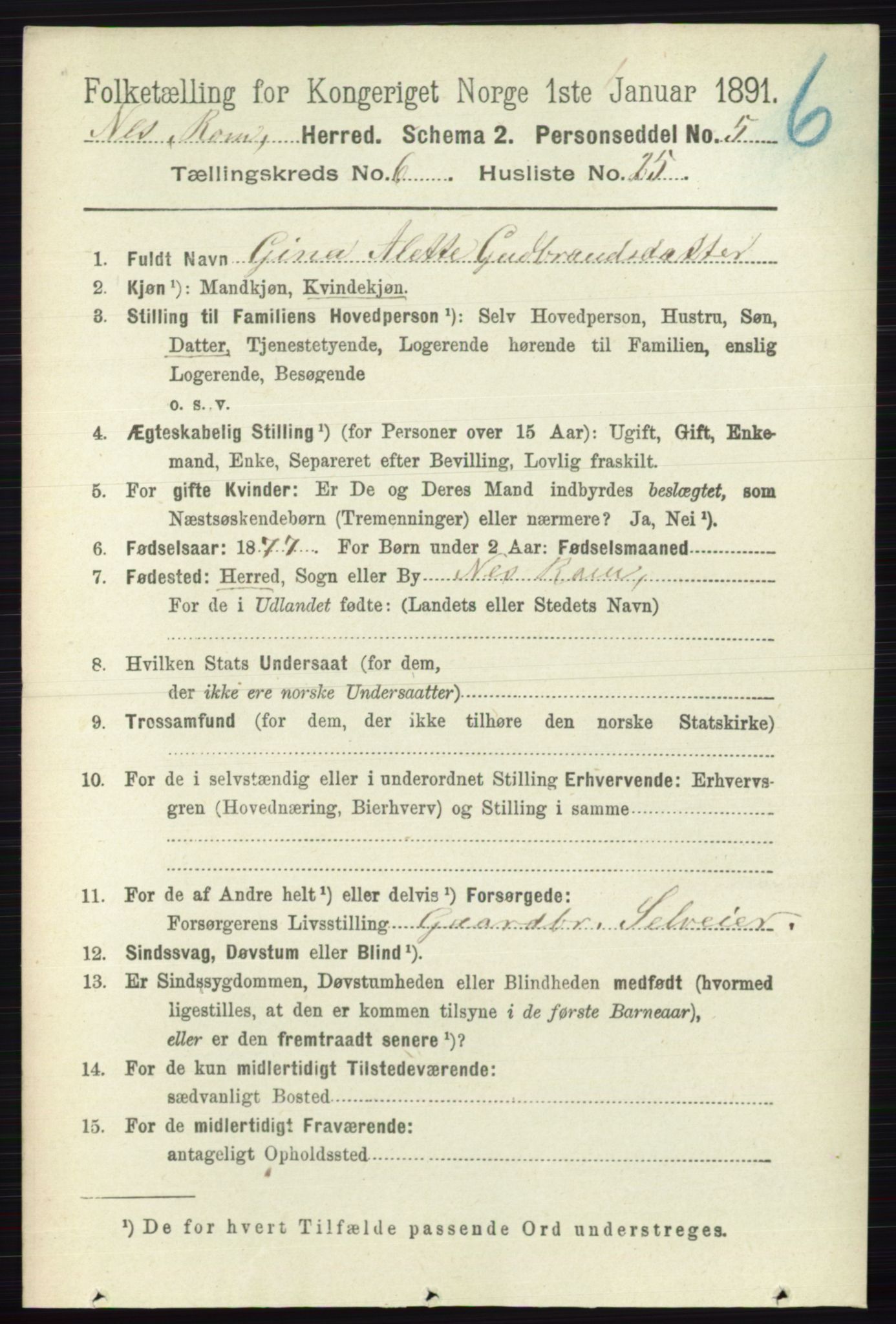 RA, 1891 census for 0236 Nes, 1891, p. 3534