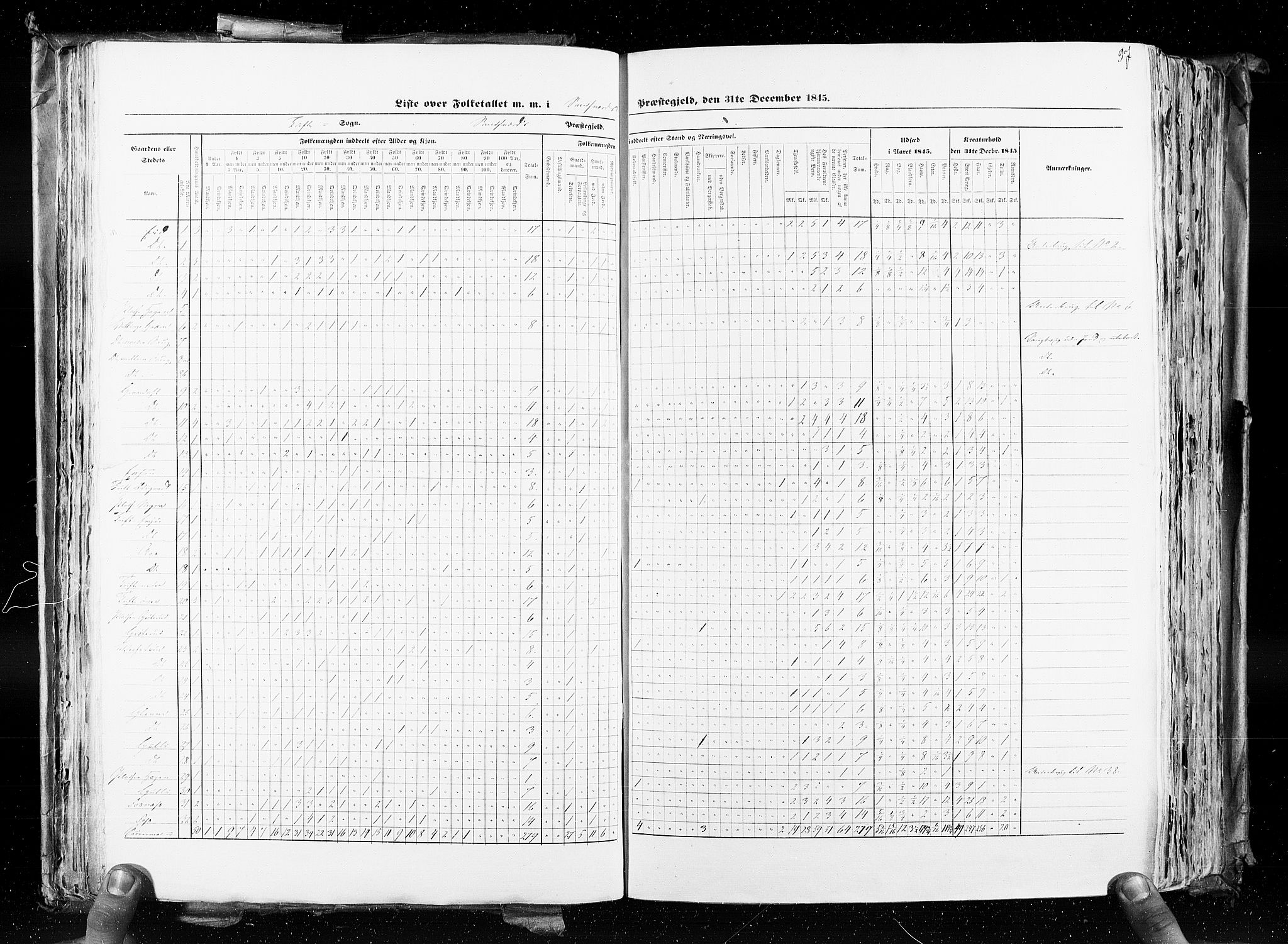 RA, Census 1845, vol. 4: Buskerud amt og Jarlsberg og Larvik amt, 1845, p. 97