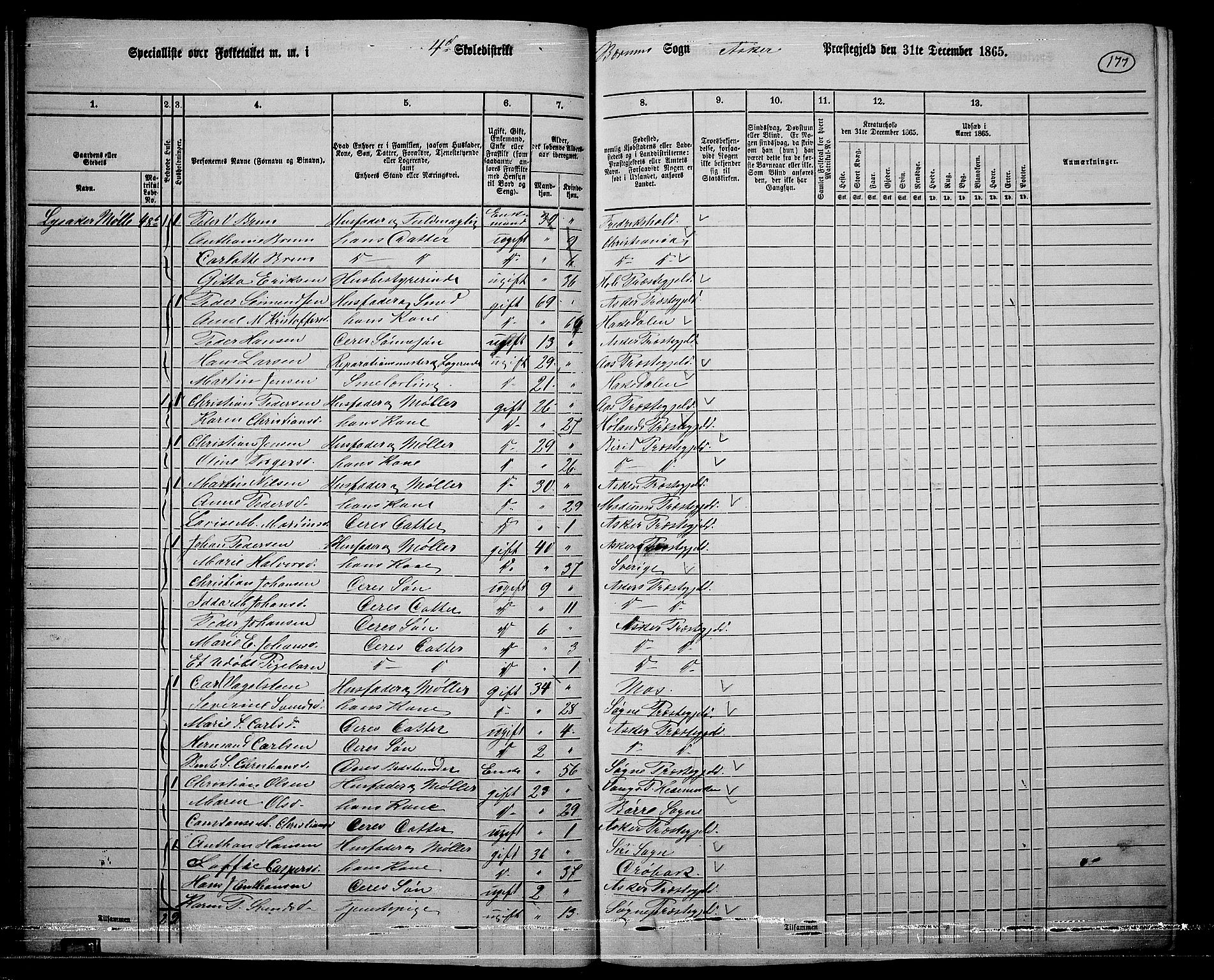 RA, 1865 census for Asker, 1865, p. 174