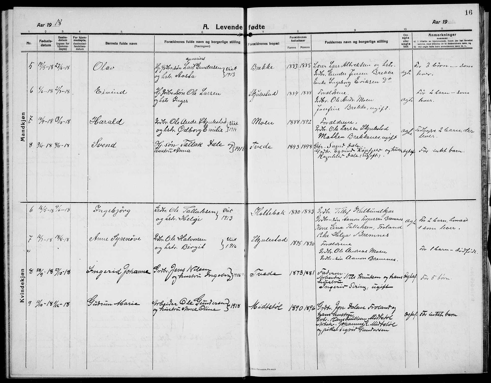 Austre Moland sokneprestkontor, SAK/1111-0001/F/Fb/Fba/L0005: Parish register (copy) no. B 4b, 1914-1935, p. 16